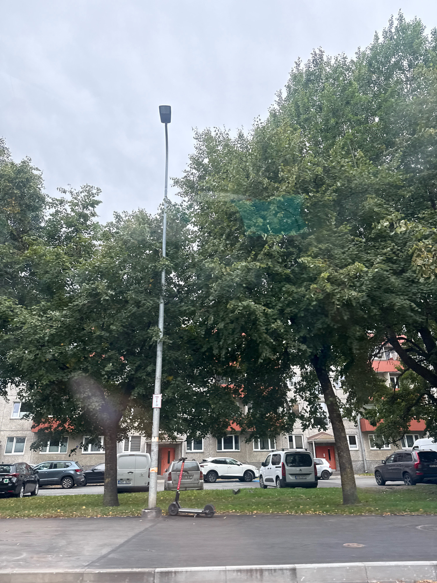 In an urban outdoor setting, a street scene is captured under an overcast sky. The foreground displays a dark asphalt surface with a light-colored curb. Beyond this, a patch of green grass is visible, dotted with fallen leaves. A single grey lamppost stands prominently in the mid-ground, accompanied by a red and white sign attached to its pole. To the left of the lamppost, an electric scooter with a red accent is parked on the grass.
Behind the grass and lamppost, a row of parked cars is lined up. These include a black sedan on the far left, a dark grey SUV, a light grey van with license plate "927 NJS," a silver station wagon with license plate "929 BDP," and a white SUV on the far right.
A dense row of mature deciduous trees with green foliage occupies the mid-ground and extends towards the background, partially obscuring the buildings behind them. The buildings appear to be multi-story apartment blocks, characterized by light grey facades, numerous windows, and some with red-tiled roofs visible. One building entrance is clearly visible with an orange door.
The image is consistent with a residential area in Tallinn, Estonia, given the architectural style of the buildings and the presence of common European vehicle models. No people are visible in the frame. The overall lighting suggests it is daytime, but the cloudy conditions create a diffused, muted light.