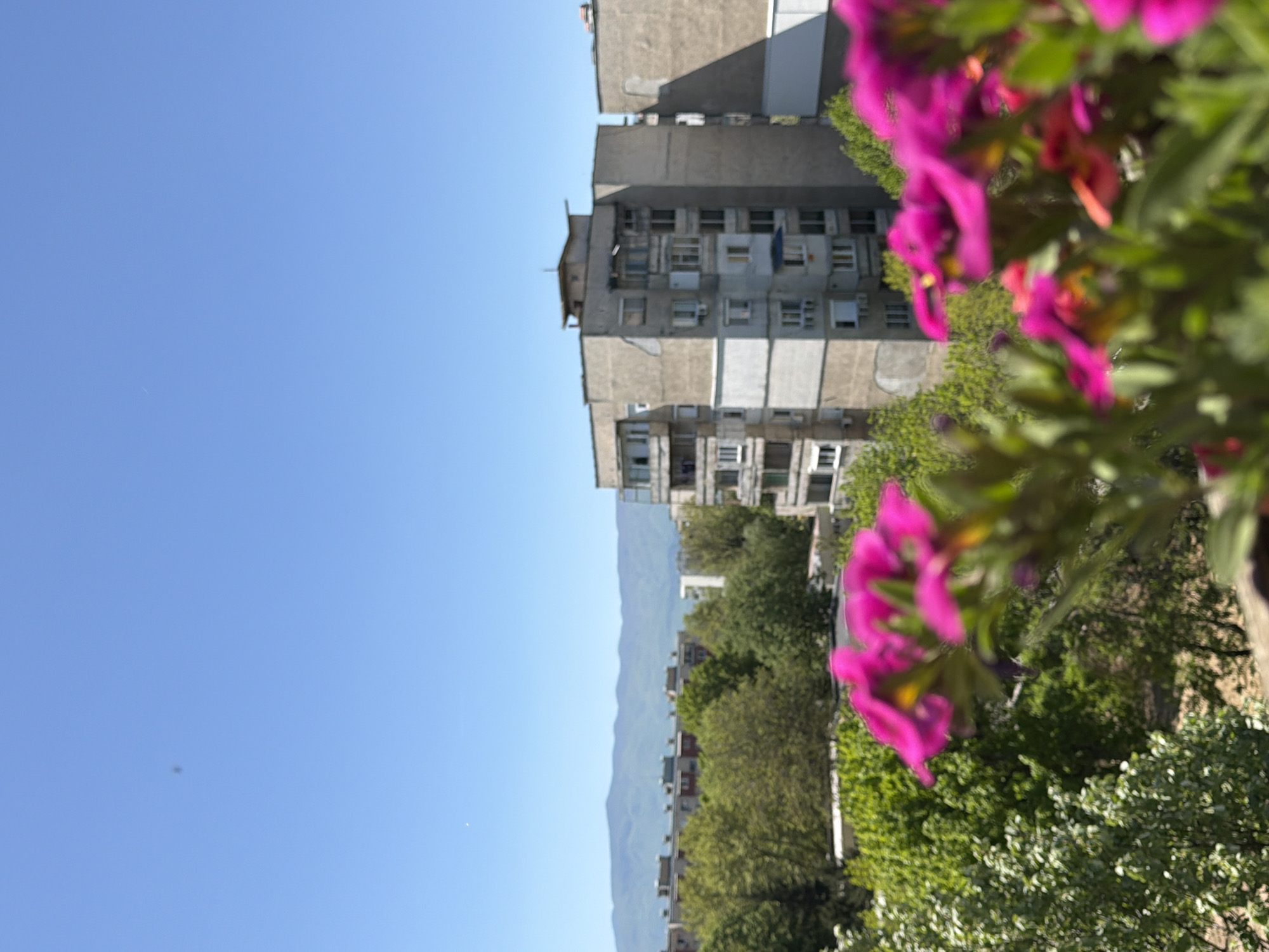 The image shows a high-angle view in Pazardzhik, Bulgaria, taken during the day with a clear blue sky. In the midground, there is a weathered concrete residential building with numerous windows and what appear to be air conditioning units. Behind the building, a line of tree-covered hills or mountains is visible. In the foreground, there are pink and purple flowers that are slightly out of focus, suggesting they are close to the camera. Green foliage is also prominent in the foreground, implying a balcony or a garden. There is no indication of people, interactions, or actions.