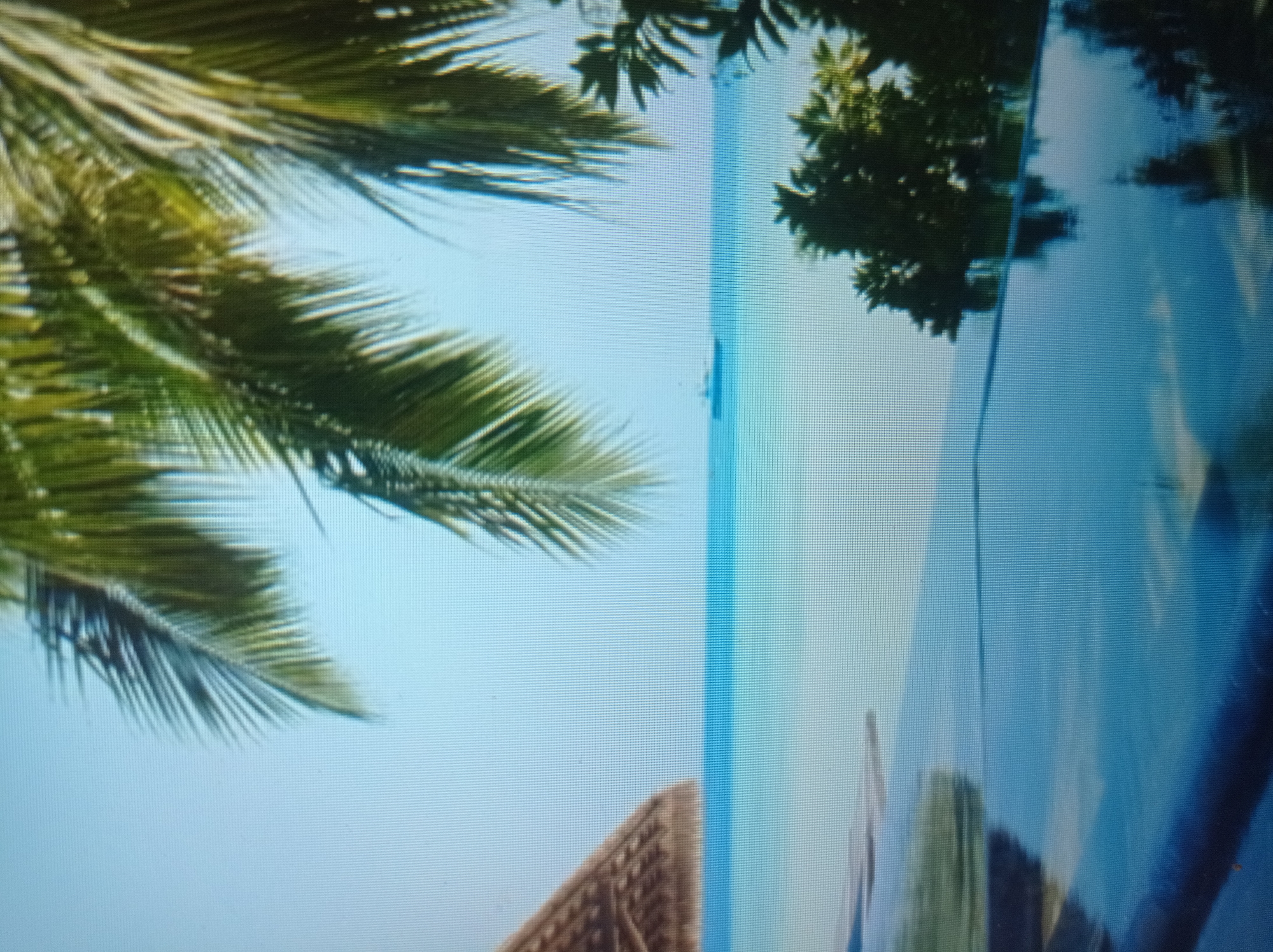 The image depicts a serene tropical or subtropical scene. In the foreground, a reflective infinity pool mirrors the sky and surrounding foliage. To the left, a portion of a thatched roof structure is visible, suggesting a resort or dwelling. Palm fronds overhang from the top of the frame, with lush green trees on the right side. In the distance, a ship is visible on the horizon of the turquoise ocean under a clear blue sky. There are no people present in the image. This scene is not located in the city of Mukachevo, Ukraine, which is a landlocked city in a temperate climate.