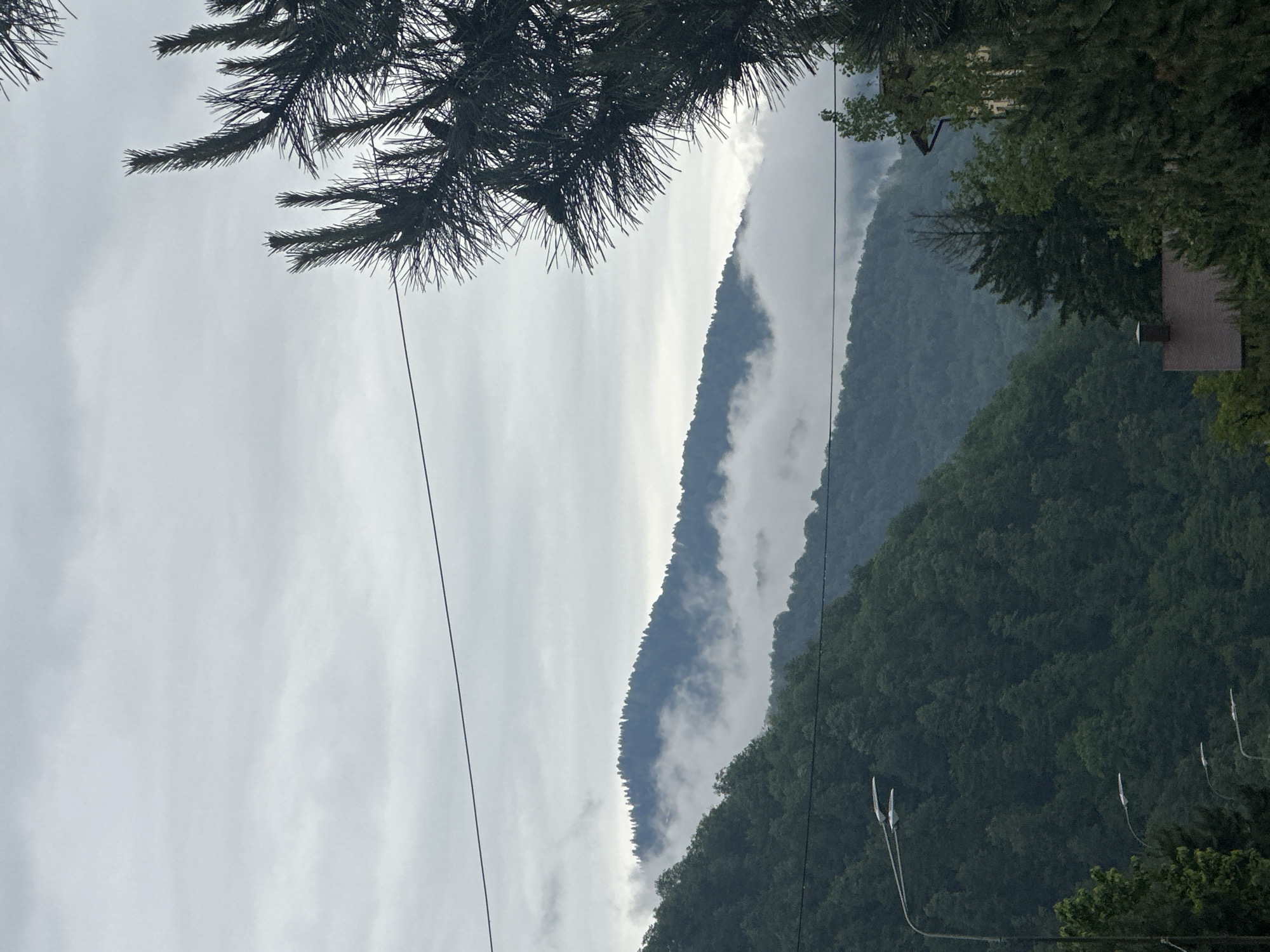 The image shows a view of the mountains in Krasnaya Polyana, Russia, partially obscured by clouds. A pine branch is visible in the upper left corner of the frame, with power lines running across the sky. Lush green trees cover the lower slopes of the mountains on the right. A building is partially visible amongst the trees. The weather appears overcast. Streetlights are visible.