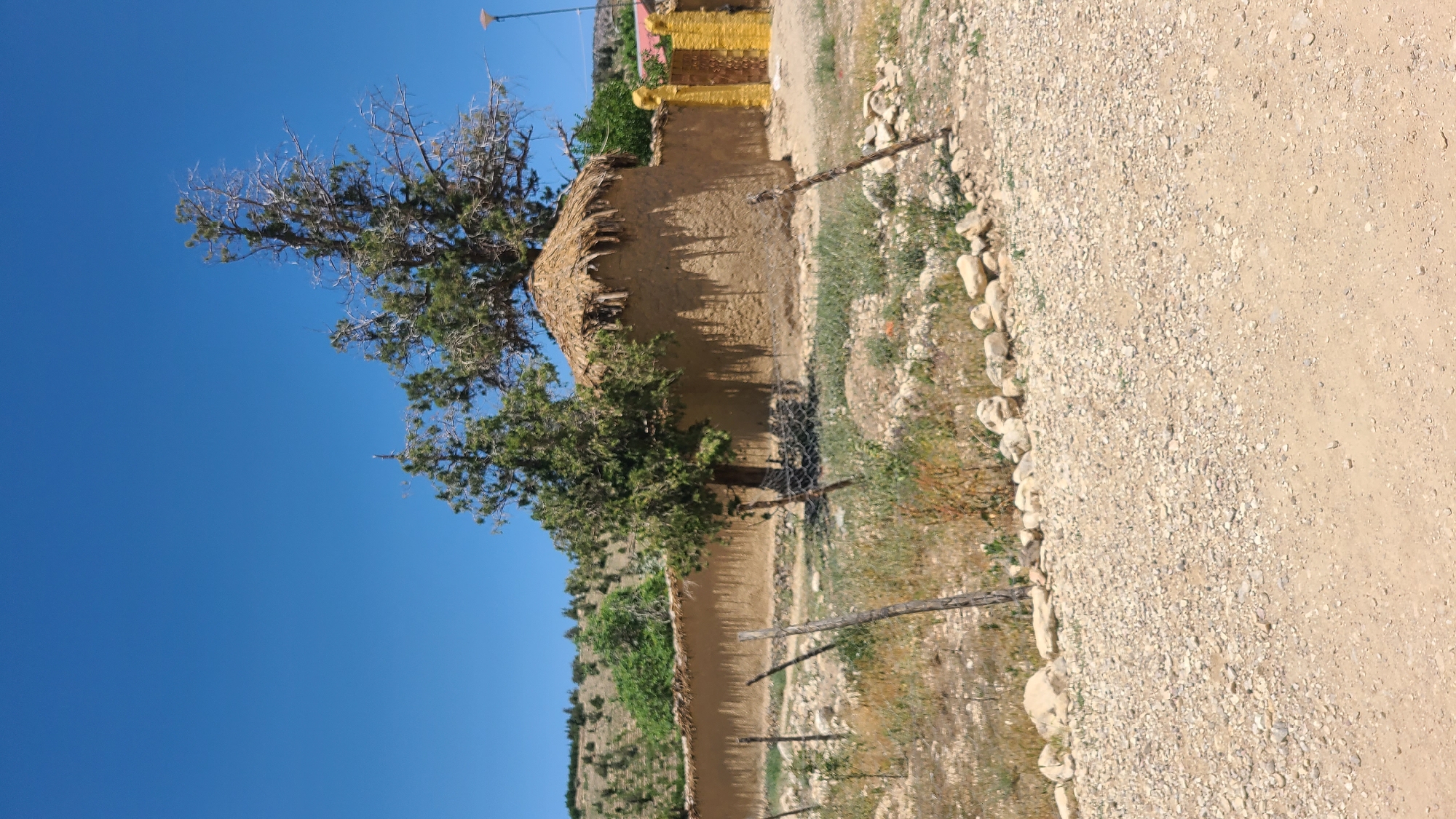 The image shows a building with a thatched roof in Ziarat, Pakistan. The building is made of mud or clay. A bare tree and a green tree are to the side of the building. A dirt and gravel road is to the right of the building. A mountain is in the background. The sky is blue. There is a fence in front of the building.