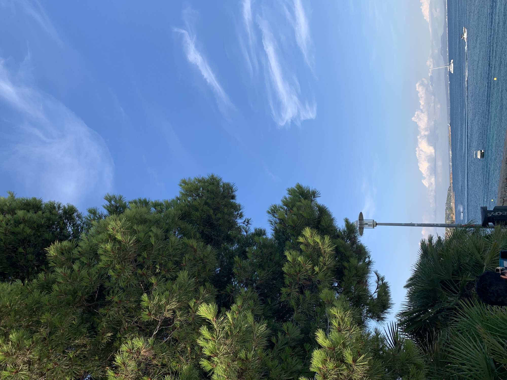 This media file depicts a scenic view of a coastal area with lush greenery in the foreground and the sea in the background. A clear blue sky with wispy white clouds stretches above, suggesting fair weather and possibly daytime. The foreground is dominated by the dense foliage of pine trees and palm trees, their vibrant green needles and fronds creating a textured canopy.
In the middle ground, a tall lamppost stands against the sky, hinting at a public space like a promenade or park. Beyond the trees and lamppost, the tranquil blue sea extends to the horizon. Several boats are visible on the water, including a white sailboat with its mast upright and other smaller vessels. The coastline is lined with buildings and hills in the distance, suggesting a populated area or a town nestled along the coast.
The overall impression is one of a peaceful, sunny day in a beautiful coastal location, likely a resort or holiday destination, given the presence of boats and the general ambiance. The bright sunlight suggests it is likely mid-morning or afternoon. There is no discernible activity or event taking place, it appears to be a still-life shot capturing the natural beauty of the scene. A very small amount of illegible text is visible on the lamppost.