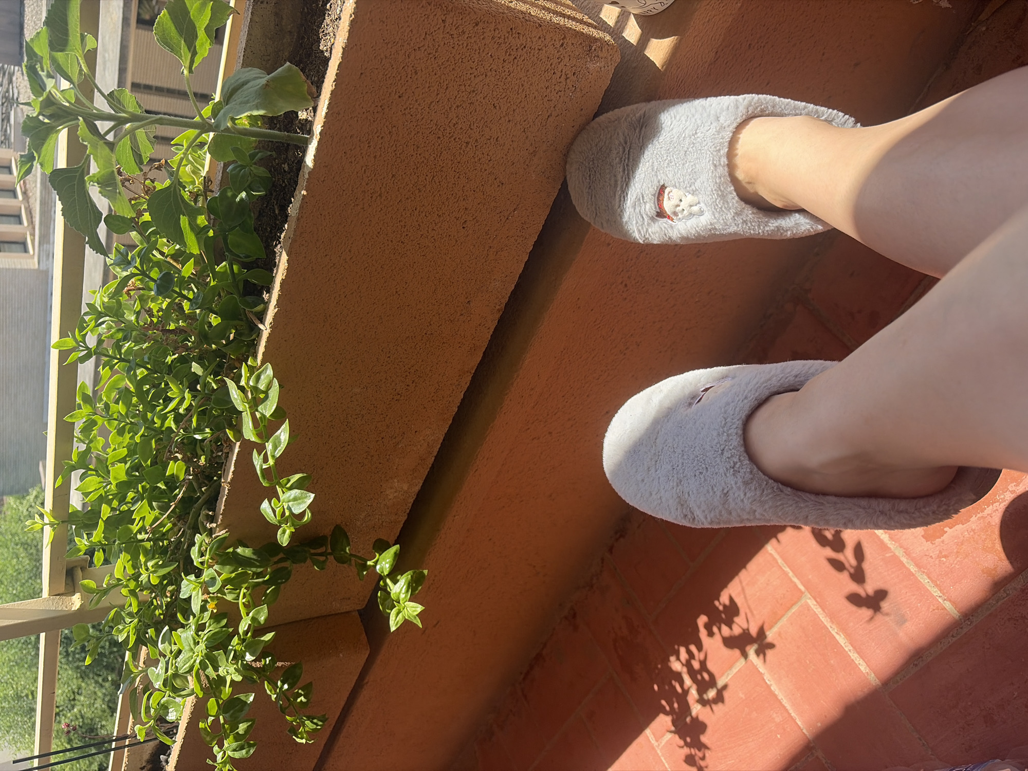The image shows a first-person perspective of someone wearing fluffy gray slippers, one of which is adorned with a small embroidered bear wearing a red hat. The person's bare legs are visible. They are sitting on a terracotta tile balcony in Riudoms, Spain. In the background, there is a planter box filled with lush green plants, including what appears to be a young sunflower. Sunlight casts shadows of the plants onto the tiled floor. Beyond the balcony railing, buildings and trees are visible, indicating an urban or suburban setting. The overall impression is one of relaxation in a sunny outdoor space.