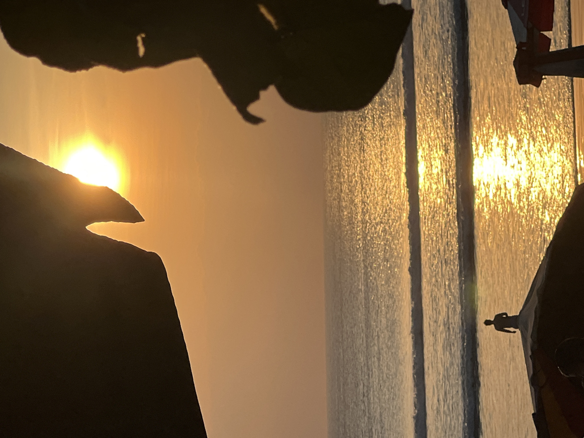 At sunset on Kuta Beach, Bali, Indonesia, the sky is painted in shades of orange and yellow. The sun, a bright orb, is partially obscured by a dark silhouette in the foreground, possibly a palm frond or beach umbrella. In the middle ground, the ocean reflects the golden light, with gentle waves lapping the shore. A lone figure, silhouetted against the shimmering water, stands on what appears to be the peak of a beach umbrella in the foreground. In the far foreground, another silhouette is visible, possibly a person seated under a beach umbrella. The overall scene evokes a sense of peace and tranquility, a typical evening on a popular Indonesian beach.