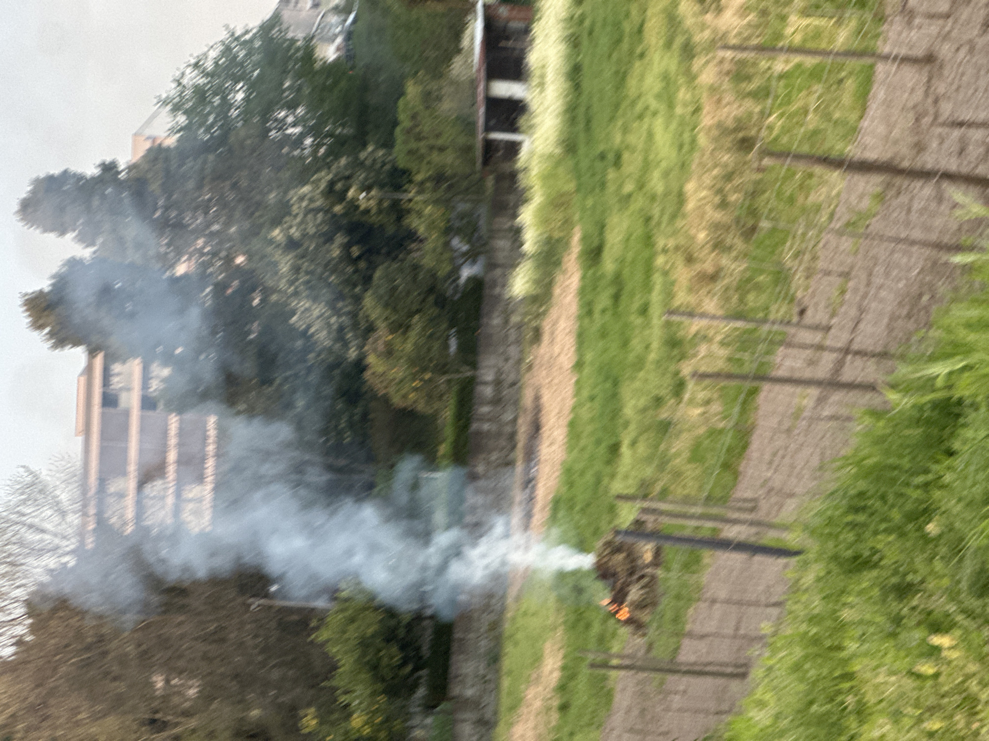 The image presents an outdoor scene in Guimarães, Portugal, depicting a controlled burn in a semi-rural setting. In the midground, a vertical column of white smoke rises from a smoldering pile of organic material, exhibiting orange flames at its base. The immediate surrounding area comprises cultivated earth, marked by exposed brown soil and interspersed green grass. A wire fence with wooden posts extends diagonally across the lower frame, defining a boundary. Beyond the burn, a low, dark grey stone wall traverses horizontally. To the right of the smoke plume, a small, open-sided structure with a reddish roof and white support columns is partially visible. The background consists of dense green trees and foliage, with an out-of-focus multi-story building featuring a light brown facade and balconies discernible above the treeline. The sky is overcast and light grey. No individuals are present.
