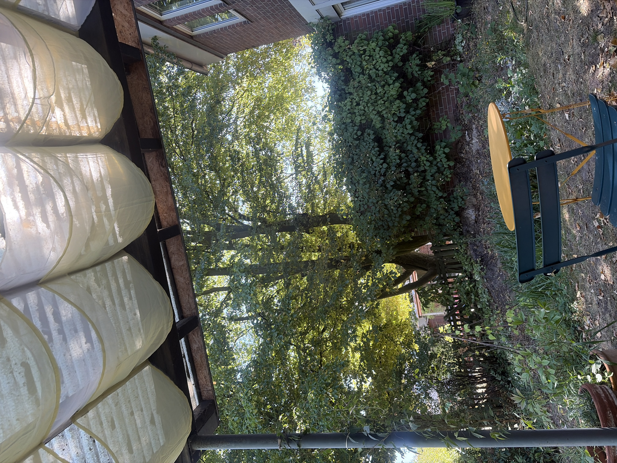 The image depicts a sun-drenched garden scene in Dusseldorf, Germany, likely a backyard or patio area. Overhead, a white and yellow fabric awning is stretched across a wooden frame, allowing sunlight to filter through. Below the awning, a large tree with lush green foliage dominates the center of the frame, its branches extending towards a bright sky. To the right, a section of a red brick house with white-trimmed windows is visible, partially obscured by the greenery. In the foreground, a small yellow round table stands next to a dark green metal chair, suggesting a seating area for outdoor relaxation. The ground is covered with dry leaves and sparse vegetation. The overall impression is of a peaceful, sunlit outdoor space.