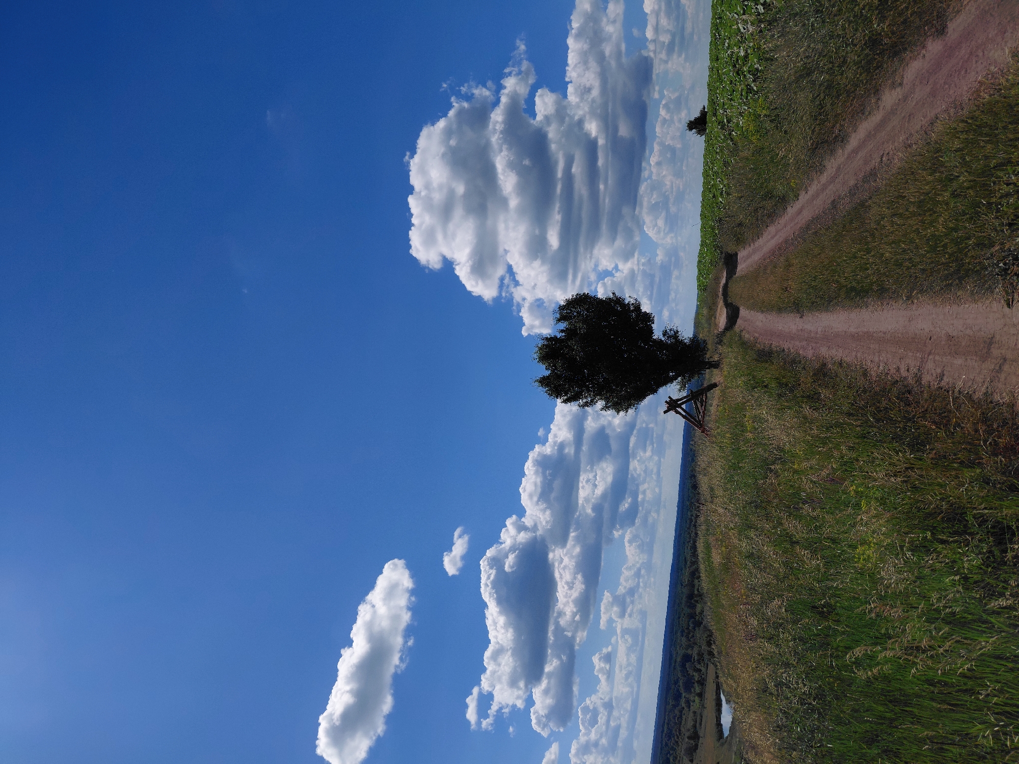 The image depicts a wide-angle view of a rural landscape under a bright blue sky dotted with fluffy white clouds. In the foreground, a dirt road curves through tall, green grass and wildflowers. A lone, dark-leafed tree stands on the left side of the road, with a rustic wooden structure nearby. To the right, a field of green crops stretches towards the horizon. In the distance, rolling hills covered in trees and a small body of water are visible. The overall scene suggests a peaceful, sunny day in the countryside.