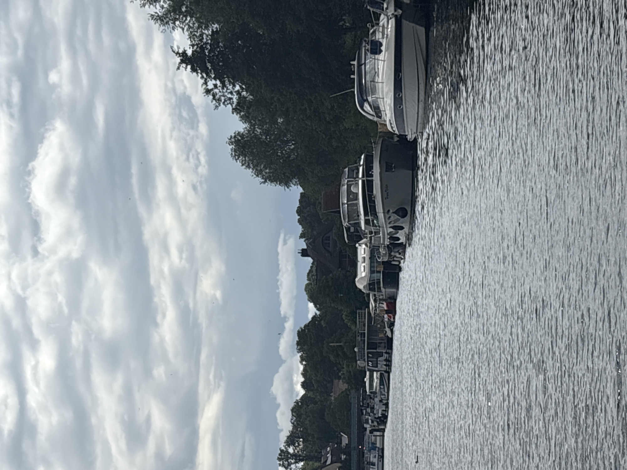 This image shows a view of the Elde river in Plau am See, Germany, on a cloudy day. A line of boats, including several motor yachts and houseboats, are moored along the riverbank. The boats are of various sizes and styles, with some featuring multi-level structures and cabins. In the background, dense green trees and some buildings with pitched roofs are visible. The water is choppy, reflecting the overcast sky. A single duck is seen swimming in the water to the left of the frame. The scene depicts a typical riverside setting with recreational boats.