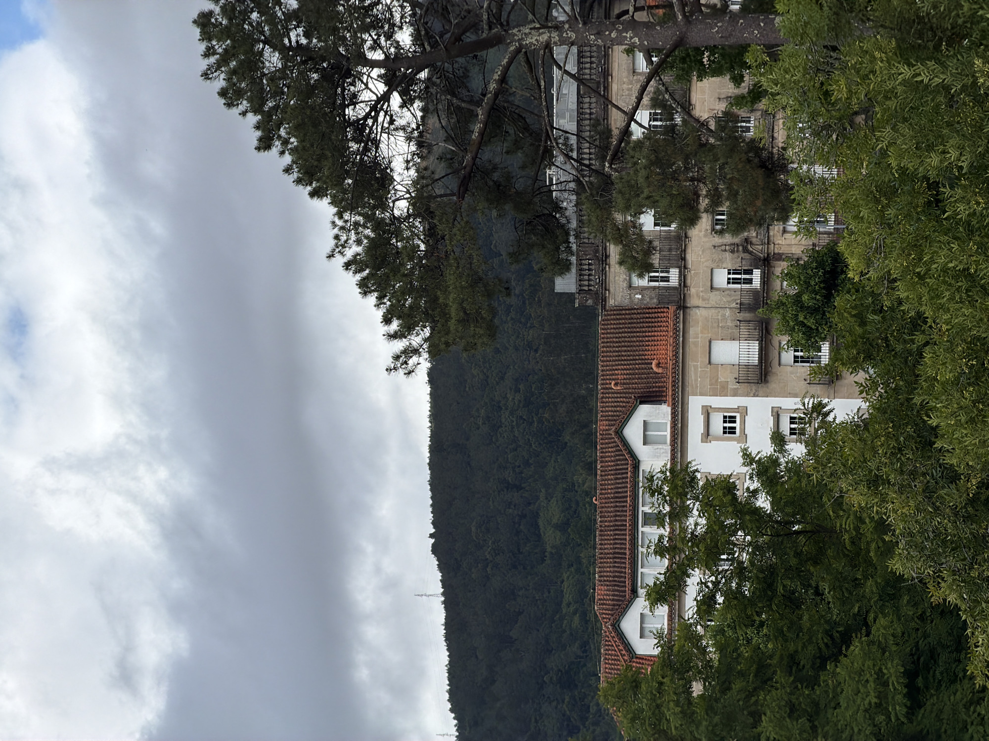 The image shows a view of buildings and vegetation in Santiago de Compostela, Spain. In the foreground, a dense canopy of green trees obscures the lower portion of the scene. Behind the trees, two distinct buildings are visible. The building on the left has a red tile roof with dormer windows and a white facade with multiple windows. Adjacent to it, on the right, is a larger building constructed of stone with a more ornate facade, featuring balconies with wrought-iron railings and arched architectural details. The background is dominated by a dark, densely forested hill. The sky above is overcast with heavy, gray clouds, with patches of lighter sky visible. Two power pylons are discernible on the crest of the hill. The overall atmosphere is muted and somewhat gloomy, suggesting overcast weather. There are no people or animals visible in the frame.