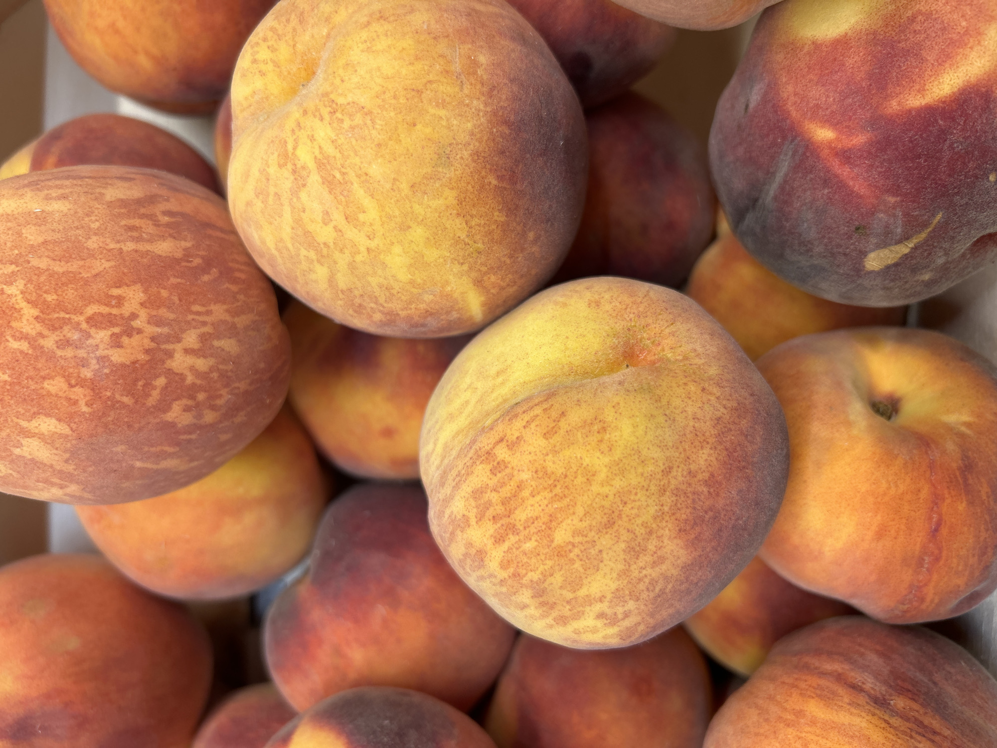 A close-up, overhead shot shows a pile of ripe peaches. The peaches are round and fuzzy, with a gradient of colors ranging from yellow to orange and red. Some peaches have dark spots and blemishes. The lighting is bright, highlighting the texture and color of the fruit. The background is a blurred white and grey, suggesting the peaches are in a container or on a display. No specific location in Detmold, Germany, can be identified from this image.