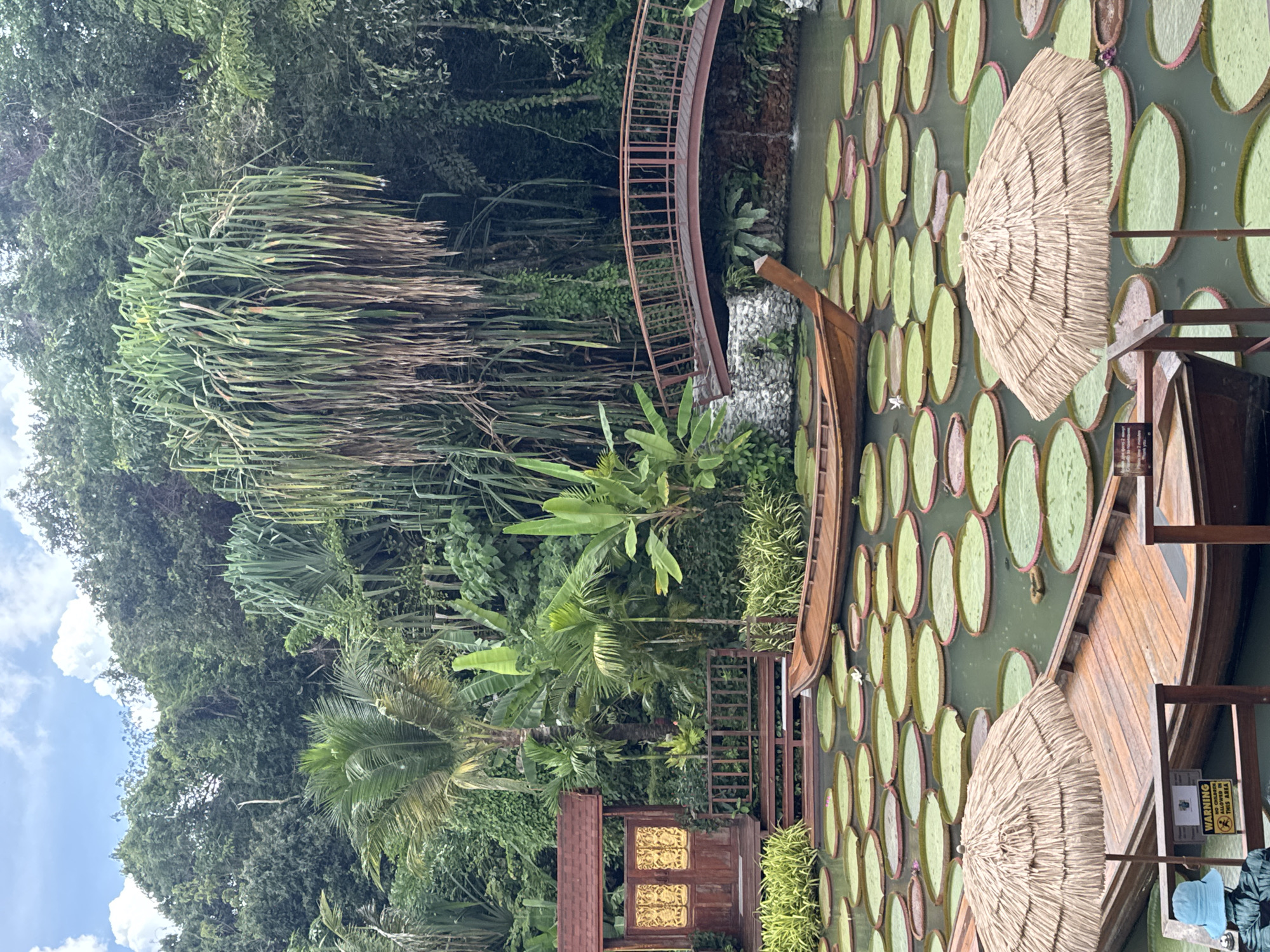 The image depicts a garden or pond area in Ban Khlong Khian, Thailand. The dominant feature is a pond filled with large, circular lily pads, with two partially visible thatched umbrellas situated on a wooden platform extending into the pond. A wooden boat is positioned near the edge of the lily pads. A wooden gate or entryway is also visible. Dense tropical vegetation, including trees and various plant species, surrounds the area. A curved metal bridge is seen in the background, partially obscured by the foliage. The sky with clouds is visible in the background. A warning sign with text in English, including "WARNING" and "NO CHILDREN ALLOWED IN THIS AREA," is also visible.