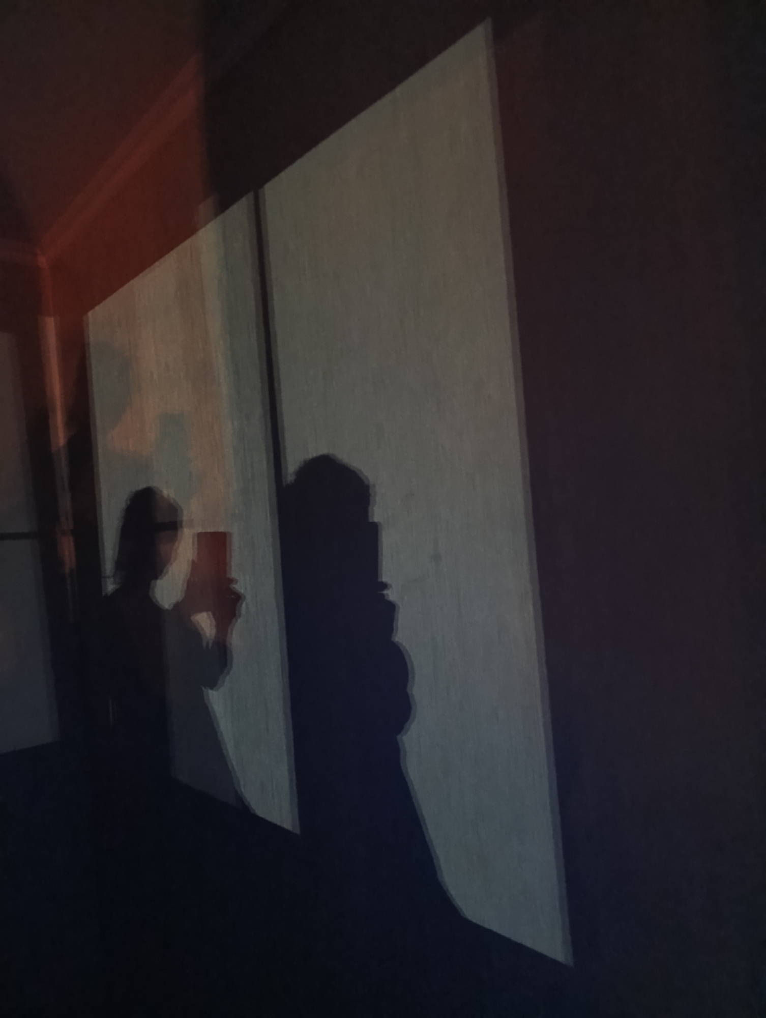 A person is silhouetted in front of a pale, textured vertical surface, likely a wall or screen. The person is holding a rectangular object, possibly a phone, and appears to be taking a selfie. A second, larger shadow of a person is cast beside the first. The environment is dimly lit, with a reddish-orange light source visible in the upper left corner, casting a glow on the ceiling. The scene is abstract and somber, with deep shadows dominating the lower portion of the frame. There is no indication of the location in Moscow, Russia.