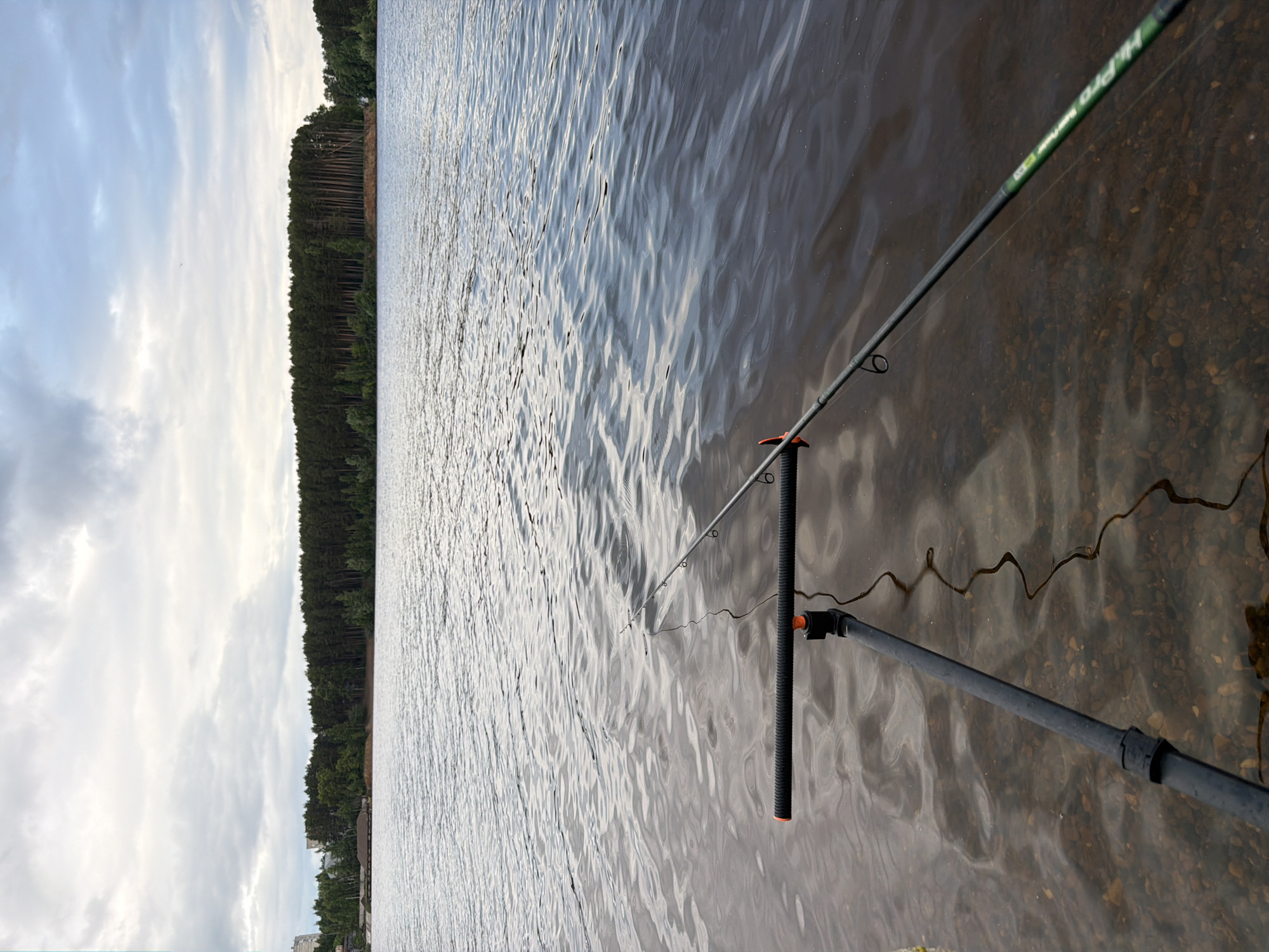 This image depicts a fishing scene on a body of water in Chaikovsky, Russia, observed from a low vantage point at the water's edge. In the foreground, two fishing rods are deployed into the water. The primary rod, black with green accents and "Hi-Pro" branding, is supported by a black, three-legged rod holder featuring an orange adjustable component, partially submerged in the clear, rippling water. The water is shallow enough to reveal a bottom covered with small, dark pebbles and stones. A dark, wavy line or cable extends from the rod holder area into the water.
The midground features the expanse of the water body, which exhibits gentle ripples reflecting the overcast sky. On the distant bank, a dense line of dark green trees forms a forest, with a visible sandy or earthen bank immediately below the treeline in the center-right. To the far left, indistinct urban or industrial structures, including sections of buildings and what appears to be a barge loaded with a pile of bulk material (possibly sand or gravel), are visible beyond some trees.
The background consists of an overcast sky filled with light and dark gray clouds. No people are visible in the scene.