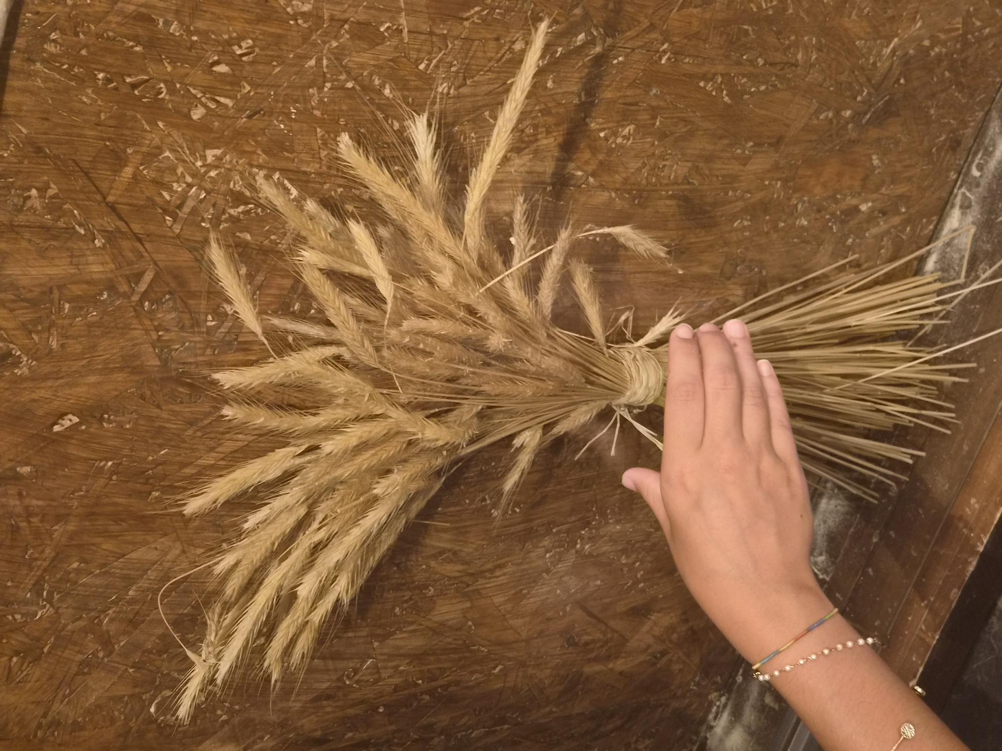 A hand with beaded bracelets is holding a dried bouquet of wheat stalks. The wheat is tied together with a string and leans against a textured brown wooden background. The wooden surface appears to be made of particle board. The scene is illuminated by warm lighting. The location is identified as Seia, Portugal.