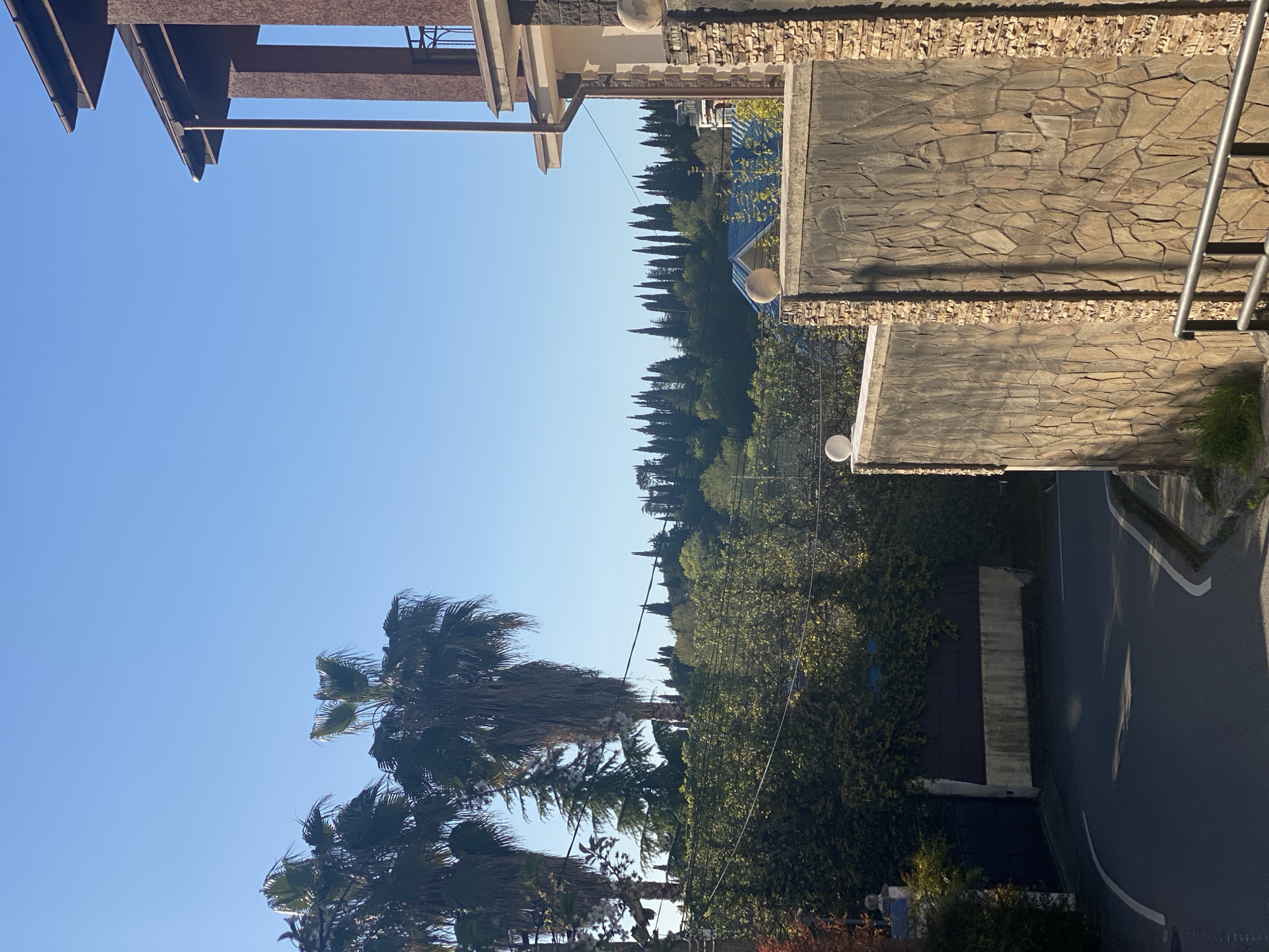The image displays a sunlit outdoor scene, characteristic of a warm climate. In the foreground, from the top, are parts of a building or balcony structure featuring dark brown architectural elements and a vertical metal railing.
The upper portion of the mid-ground is dominated by a clear, vibrant blue sky. Stretching horizontally across the center of the frame is a distinct line of tall, slender evergreen trees, likely cypresses, forming a natural boundary or a landscaped element. To the left, several large palm trees with fronds appearing to be gently swaying in the breeze are visible against the clear sky. Below the treeline and to the left and center, there is an abundance of dense green foliage, suggesting a lush garden, hillside, or natural vegetation, with some white floral blooms peeking through.
To the right, portions of a stone-faced wall or fence constructed from irregular, light-brown and grey stones are evident. Two spherical outdoor lights are affixed to these structures. The lower right reveals a paved asphalt road or driveway with white markings, partially shaded, suggesting strong, direct sunlight.
No people are visible, and no specific event or activity is taking place; the scene portrays a static landscape. The time of day appears to be either morning or early afternoon, indicated by the bright sunshine and distinct shadows. The weather is clear and sunny. The combination of palm trees, cypress trees, stone architecture, and lush greenery is consistent with the coastal scenery of Sochi, Russia. There is no visible text in the image.