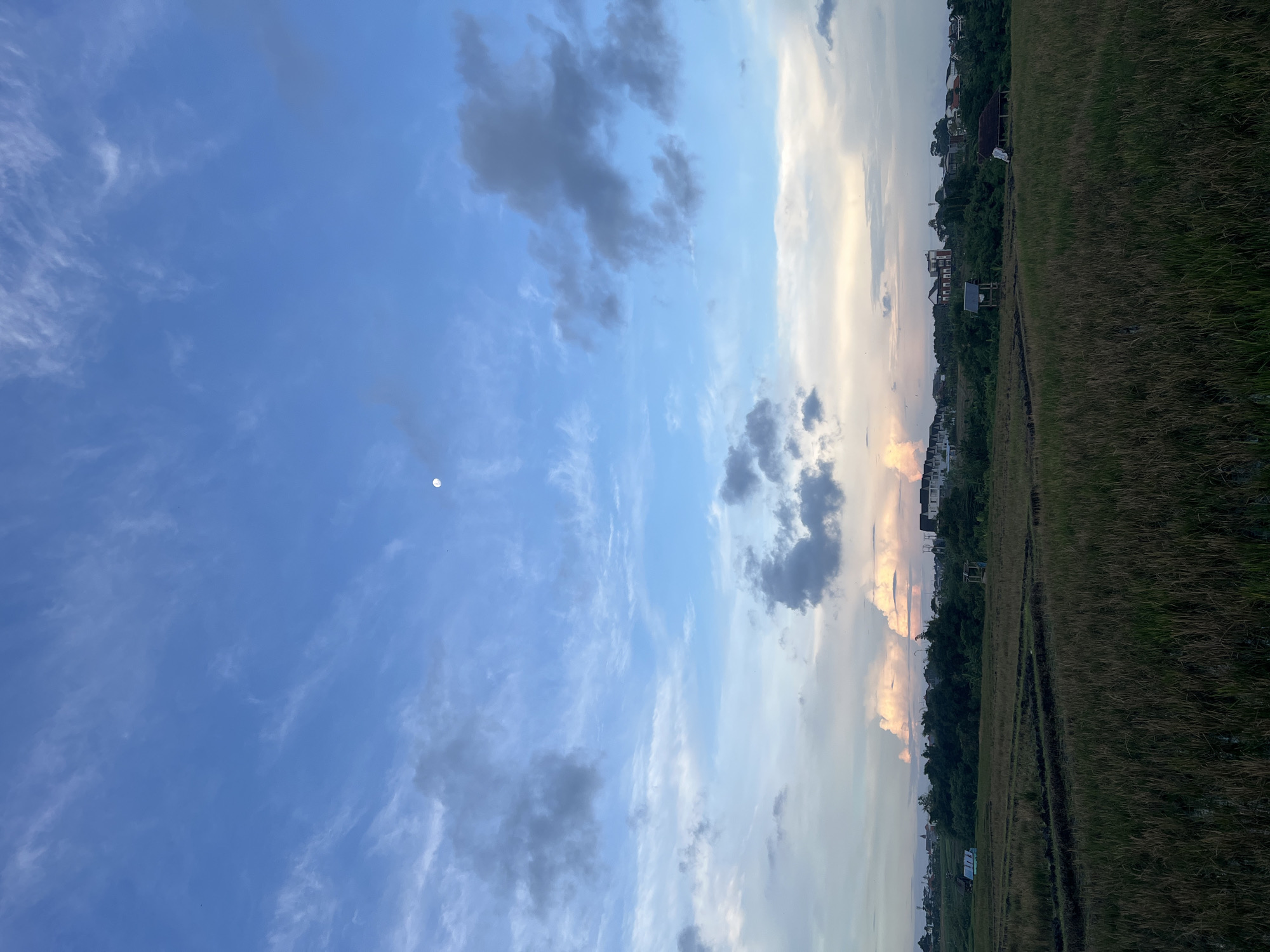 The horizontally oriented image presents a peaceful landscape under a vast sky, likely captured in North Kuta, Indonesia, during the late afternoon or early evening. The sky occupies the majority of the frame, displaying a gradient from deep blue on the far left to lighter blue and soft yellowish-orange hues closer to the horizon on the right, characteristic of a sunset. Scattered across the blue expanse are delicate, wispy white clouds (cirrus) and more defined, darker grey cumulus clouds. A small, bright white orb, identifiable as the moon, is prominently visible in the upper-left quadrant of the sky.
The lower portion of the image reveals a sprawling field of tall, dry-looking grass in shades of green and brown, stretching from the foreground towards the middle distance. Faint tracks or pathways are etched into the grass, suggesting human or vehicle passage. Behind this field, a dense strip of dark green trees and foliage acts as a natural barrier. Beyond the trees, a collection of residential buildings and houses with varied designs can be seen, nestled against what appears to be elevated terrain. The overall scene is calm and devoid of people or specific activities. No visible text is present in the image.