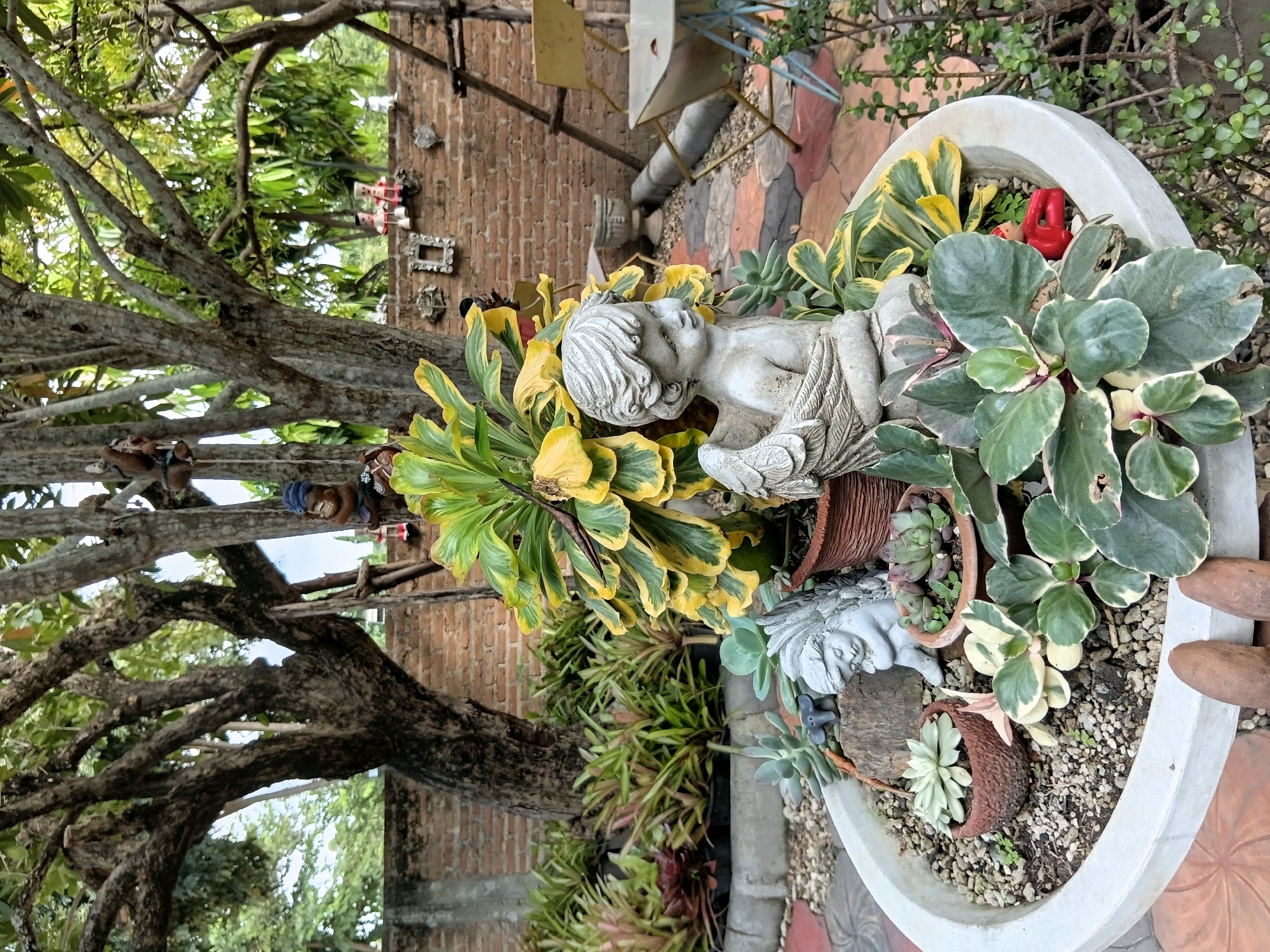 This is a medium shot, eye-level, vertical, outdoor photograph taken in Ban Tong, Thailand. The foreground features a large, light gray concrete planter filled with various succulents and a plant with variegated green and yellow leaves. A small, light gray, winged cherub statue is seated amongst the plants on the right side of the planter. A smaller, light gray statue of a cherub is on the left side, partially obscured. Two terracotta pots containing small succulents are visible within the planter. The planter is set against a background of a brick wall, with a colorful, patterned paved walkway in front of it. Behind the planter and wall, trees with visible branches and foliage are present. In the distance, a few outdoor chairs and tables are visible. A small red figurine, possibly a person or animal, is partially visible nestled in the plants on the right side of the planter. The image appears to capture a garden or outdoor seating area.