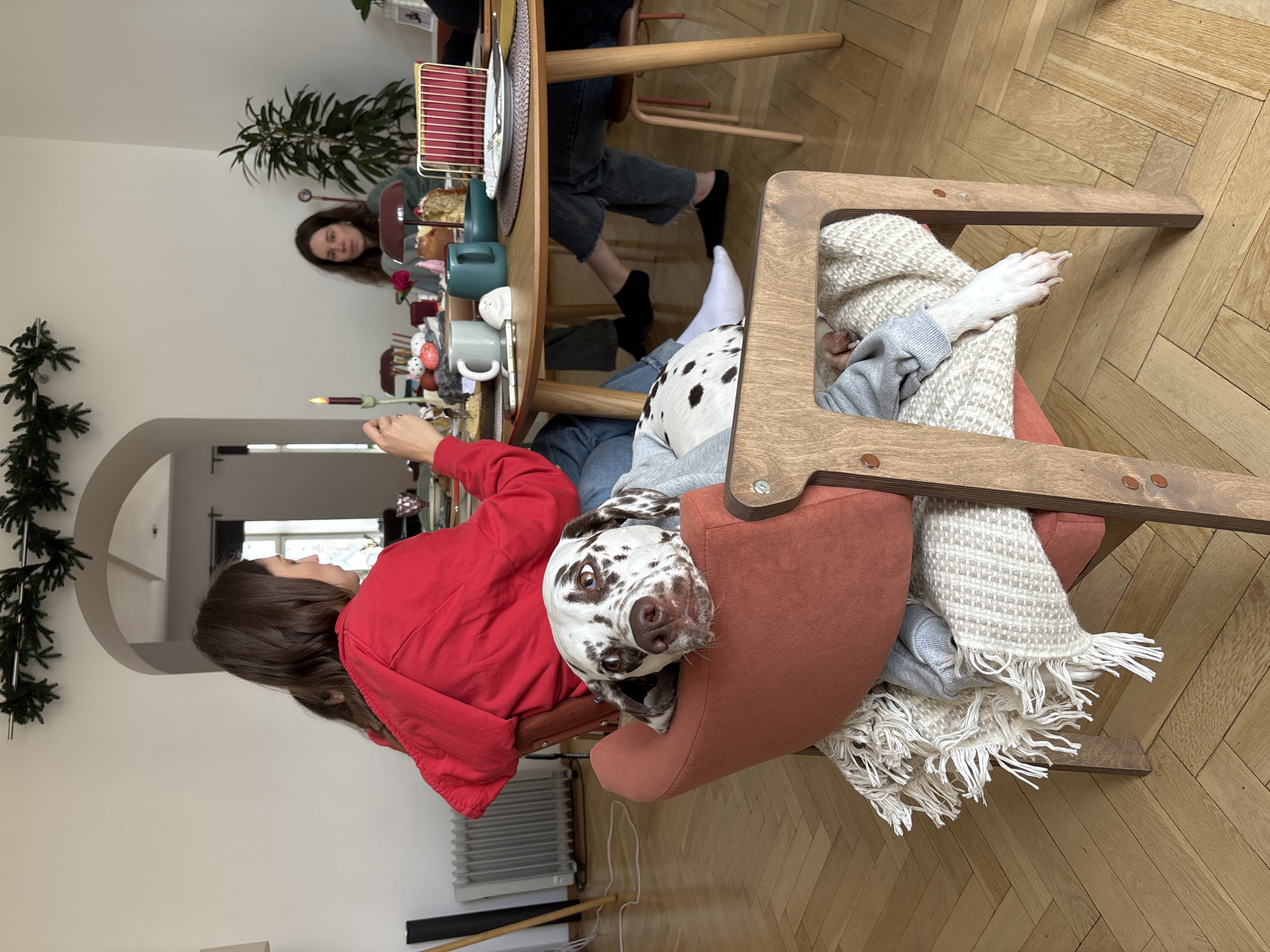 A medium shot, captured indoors during daytime, shows three people and a Dalmatian dog at a dining table.
A woman in a red hoodie stands at the left edge of the frame, facing the table. Another woman sits opposite her, with her attention directed toward the table. A third person sits at the table, partially visible. All three appear to be mid-conversation or engaged in an activity around the table.
The Dalmatian is situated in a chair to the right, partially obscured by a light-colored woven blanket. Its head is prominent, and it is staring directly at the camera.
The interior is likely a residential dining room. To the left, a doorway and a Christmas garland are visible. The floor is made of hardwood.
While the image doesn't provide information to definitively locate it in Moscow, Russia, the style and architecture of the interior suggest an urban residential setting.