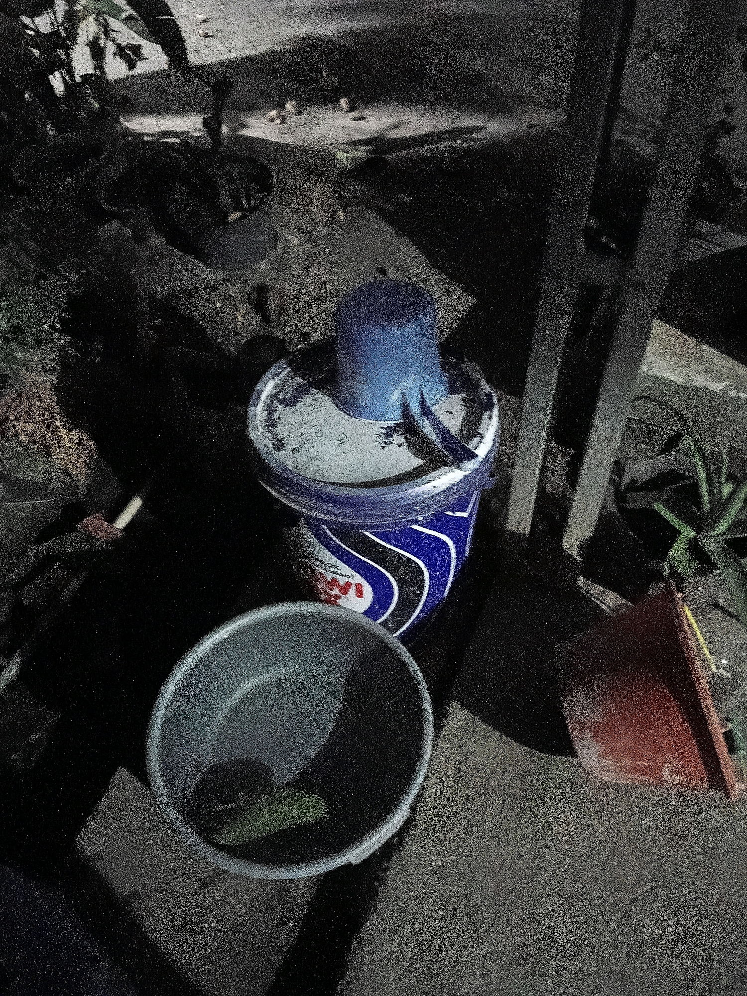 The image depicts an outdoor scene at night in what appears to be a residential area, possibly in Cikal, Indonesia, based on the provided context. In the foreground, a grey plastic bucket sits on a textured, dark surface, containing a green leaf-like object. To the right of this bucket is a larger, blue and white plastic bucket with a blue lid on top. A blue scoop is placed on the lid of this bucket. Behind these buckets, a red plastic container is visible, partially obscured. In the background, a ladder-like structure is present, along with foliage and what appear to be scattered small objects on the ground. The lighting suggests artificial illumination is present, casting shadows.