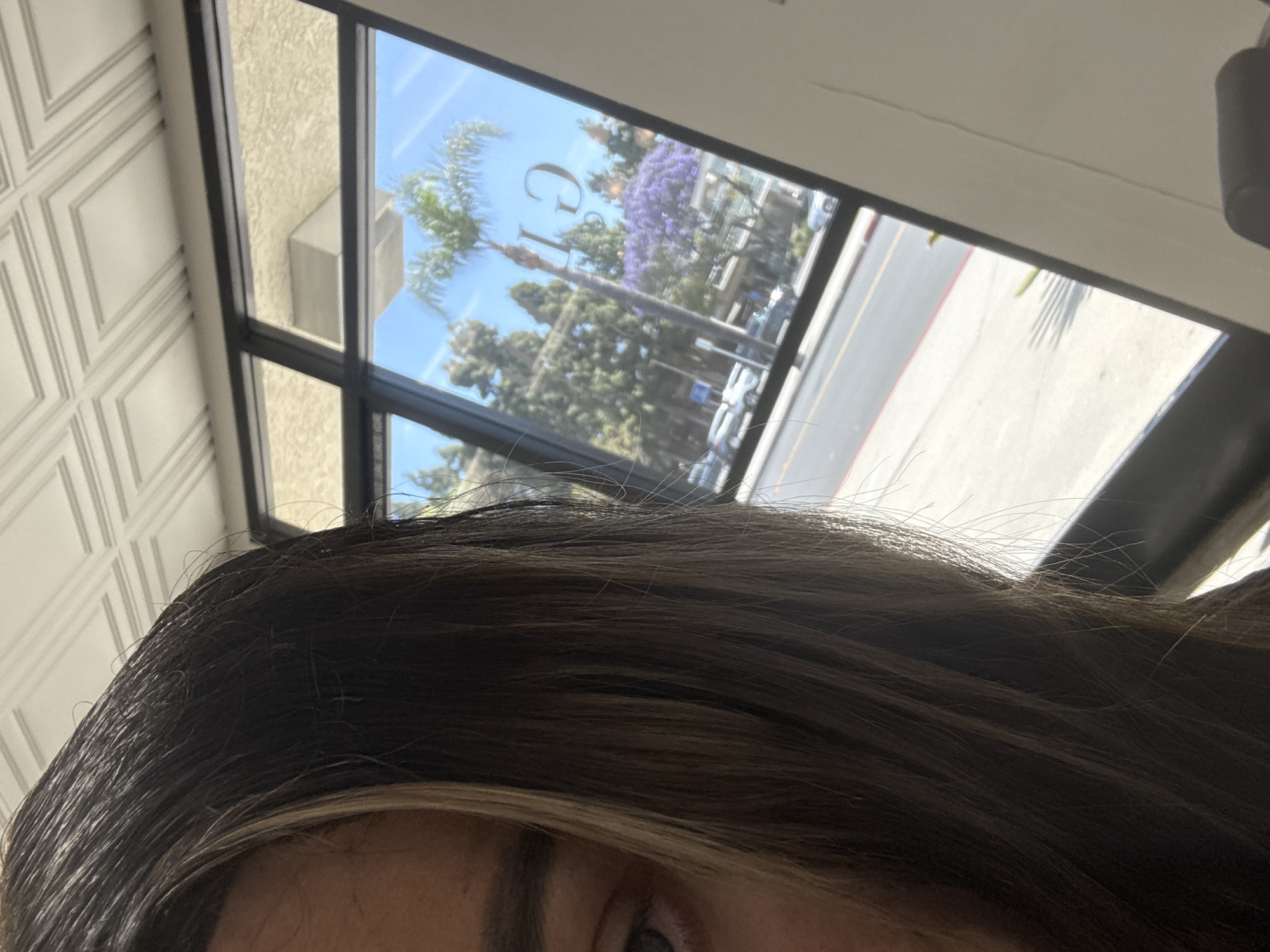 The image captures a first-person perspective, looking upwards and outwards from an indoor setting in Bellflower, USA. In the immediate foreground, the top of a person's head is visible, featuring dark, wavy hair and a glimpse of their right eye and eyebrow.
The mid-ground and background are dominated by a large window with dark frames, looking out onto a bright, sunny street scene. Through the clear windowpanes, a vibrant blue sky is visible, along with lush green palm trees and other foliage. A prominent tree bearing distinctive purple flowers, characteristic of a Jacaranda, adds a splash of color to the outdoor landscape. Buildings with light-colored, textured walls are visible beyond the trees. A paved street with a curb and painted lines runs horizontally across the lower part of the window view, with several vehicles parked or moving along it.
Notably, reflections on the window glass reveal partial, reversed text, appearing to be the letters "G" and "l" (or "I"), possibly from a sign. To the immediate left of the window, an interior wall section is visible, adorned with intricate, light-colored geometric molding forming a repeating diamond pattern. The overall lighting suggests it is daytime with clear weather. No specific activity is occurring, rather it presents a static view from a person observing the exterior.