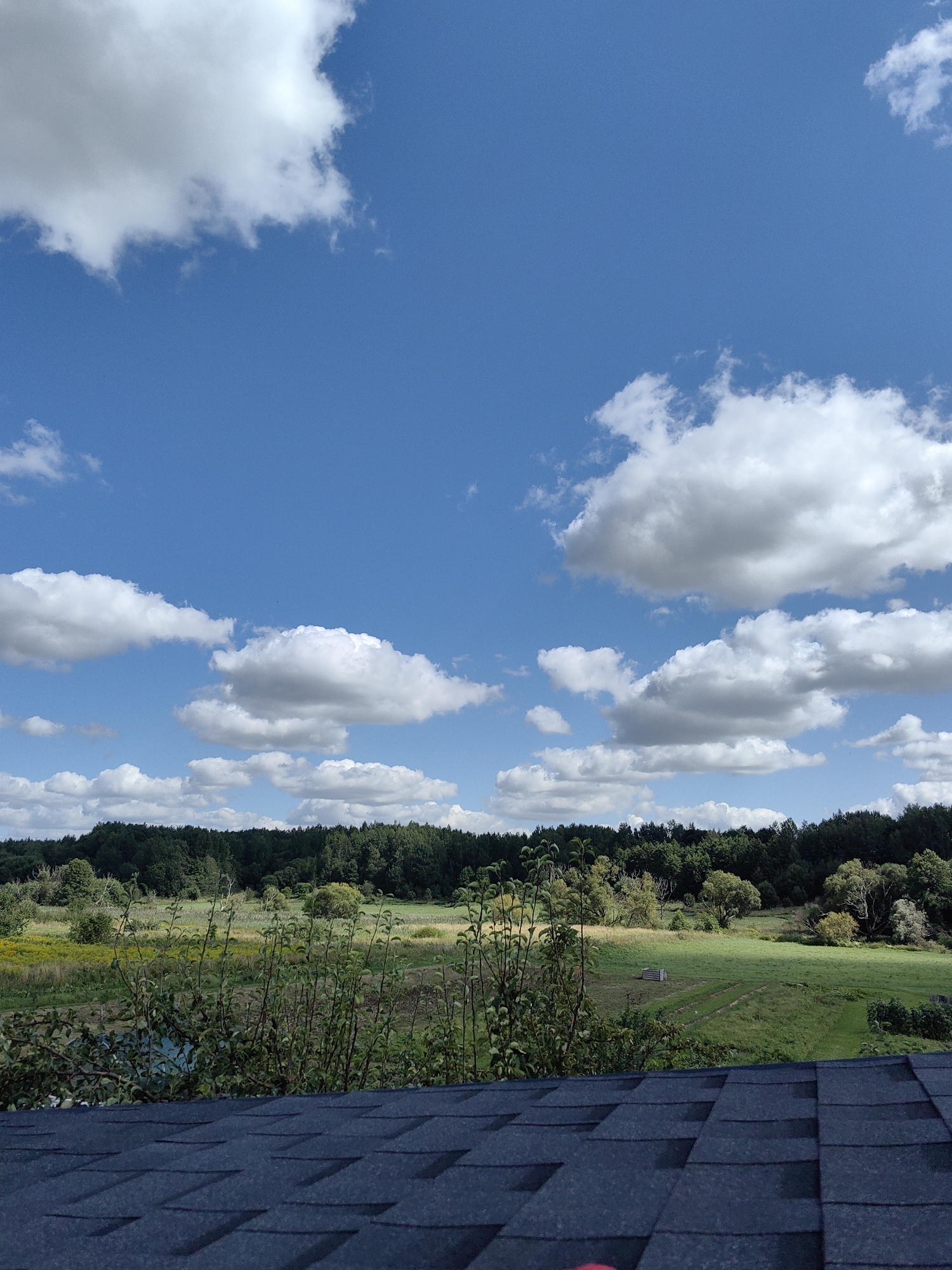 The image depicts a rural landscape under a bright blue sky dotted with fluffy white clouds. In the foreground, a dark blue asphalt shingle roof is visible. Beyond the roof, a green field stretches out, bordered by a dense forest in the distance. There are a few scattered trees and bushes within the field, and a small body of water can be seen on the left side of the frame. The overall scene suggests a clear day in a natural, undeveloped area. There are no people or animals present in the image, nor are there any discernible structures beyond what appears to be a small, possibly abandoned, wooden building in the middle ground of the field. The image was taken in the vicinity of Дзямідавіцкі сельскі Савет, Belarus.