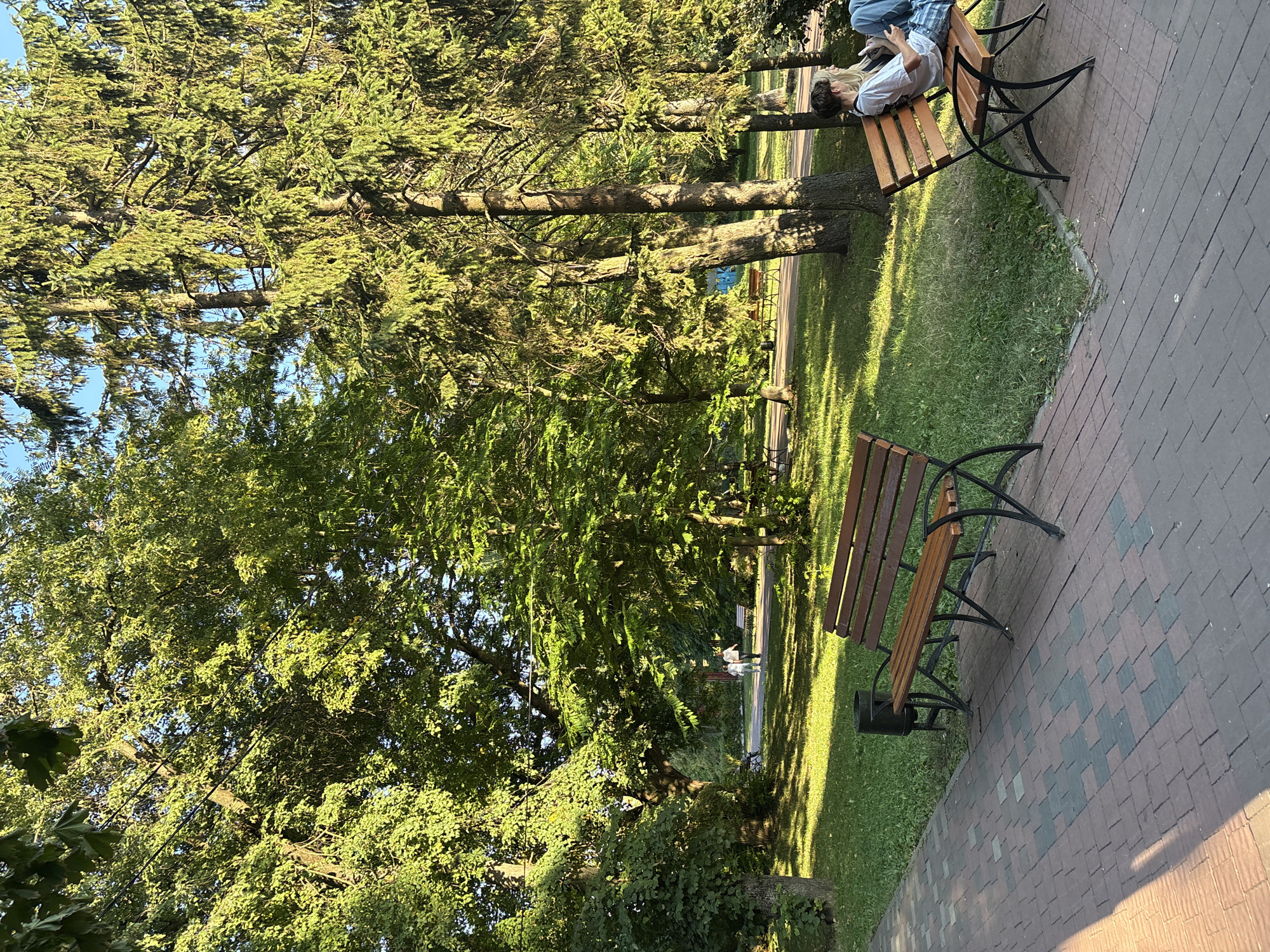 In Ternopil, Ukraine, a park scene is captured bathed in the warm, late afternoon sun. The foreground features a paved walkway with a patterned design of reddish-brown and dark gray bricks. A dark trash receptacle stands beside a brown wooden park bench with black metal legs, positioned at the edge of the walkway. To the right, another identical bench is occupied by two individuals. One, a blonde person with short hair, wears a white t-shirt and blue jeans, and is looking down at a device in their hands. The second person, further to the right, is partially visible, also seated on the bench. Beyond the benches, a lush green lawn is illuminated by dappled sunlight filtering through the dense canopy of trees. In the middle ground, a paved path curves through the park, and two people are seen walking away from the camera. The background is dominated by a grove of tall, mature trees with verdant foliage, creating a serene and natural atmosphere. The sky is a clear blue.