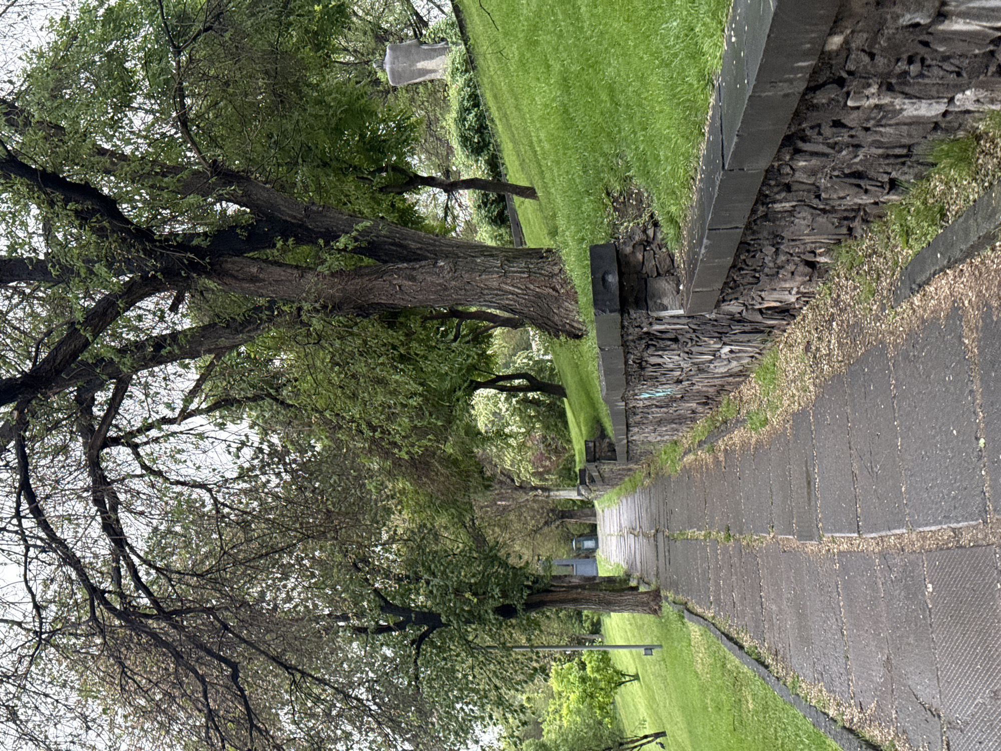 The image shows a cobblestone walkway lined with mature trees and lush green grass, potentially in a park or a similar public space. On the right of the walkway, there's a low stone wall, possibly acting as a border for the grassy area. The overall atmosphere suggests a tranquil and verdant urban environment. Based on the provided context (location in Yerevan, Armenia), this might be a pathway in a park such as Lovers' Park, Yerevan Botanical Garden, or another similar location featuring stone walkways and abundant greenery. Without additional landmarks or distinctive features, a precise location within Yerevan cannot be definitively determined. There are no people visible in the frame. The main subjects are the trees, walkway, grass, and stone wall. The environment is naturalistic and urban. There are no apparent actions or interactions captured in this static scene.