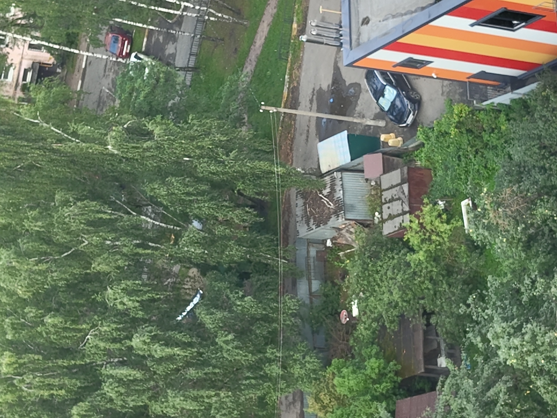 The aerial image, taken in Ramenskoye, Russia, depicts a densely vegetated urban environment. Dominating the frame are large trees with drooping branches, typical of birch trees, which create a lush canopy. In the foreground, a multi-story building with a vibrantly colored facade of vertical orange, yellow, and red stripes is visible. Adjacent to this building, a black SUV is parked on a wet asphalt surface, which appears to be a road or parking area.
Scattered throughout the scene are various structures, including corrugated metal sheds and smaller buildings, some with visible roofing materials such as shingles or metal sheeting. Greenery, in the form of trees and bushes, is prevalent, interspersed among the man-made structures. A dirt path or road is also visible, winding through the grassy areas. In the upper portion of the image, a red car is parked near a building with light-colored walls. The overall impression is one of a somewhat disorganized but green urban setting, with a mix of residential and utility structures. There are no visible people in the image.