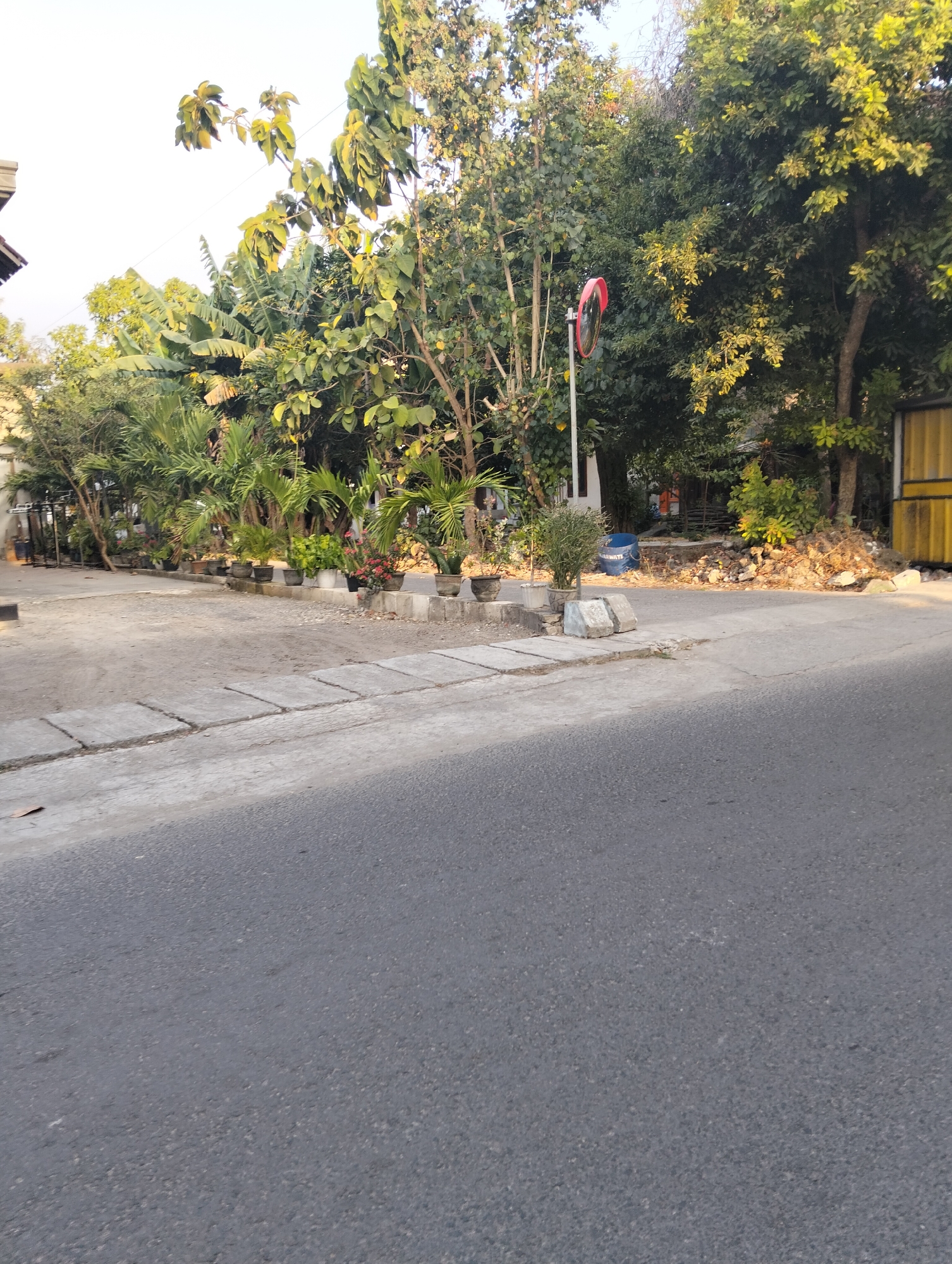 The image shows a street scene in Drajat, Indonesia. The foreground is dominated by a gray asphalt road. To the left of the road, a concrete sidewalk with square paving stones runs parallel to the street. Beyond the sidewalk, there is a dirt area with a line of potted plants, including palm trees and flowering plants. A white pole with a round, red-rimmed mirror is visible behind the plants. The background consists of dense foliage from various trees and some buildings, including a yellow structure on the far right. The sky is visible at the top, appearing bright and clear. There are no people visible in the image.