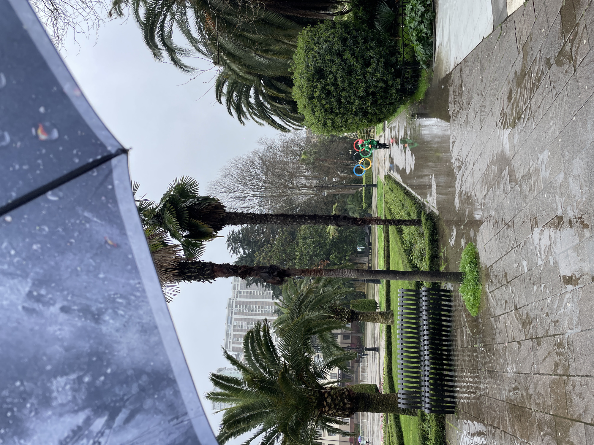 The image captures a rainy scene in Sochi, Russia, featuring a park with tall palm trees and a wet, stone-paved pathway. In the background is a large building. A bench is visible along the pathway. In the distance, there is a cyclist in green clothing next to Olympic rings. The photograph is taken from under an umbrella, partially obscuring the view.