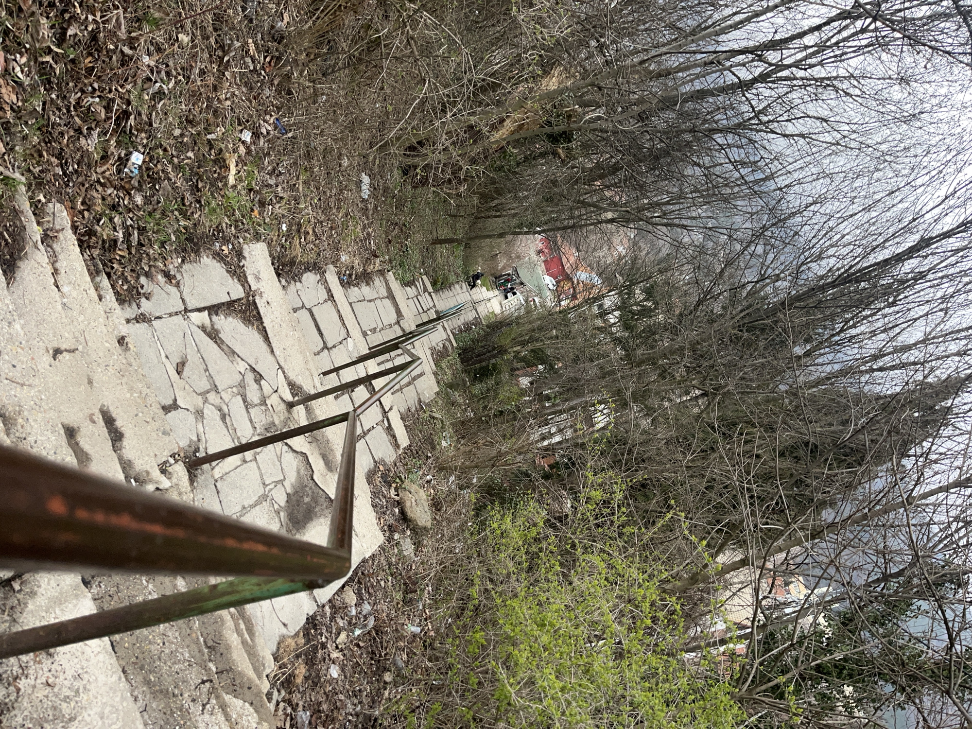 The image depicts a steep, concrete staircase descending through a wooded area in Vladaya, Bulgaria. The staircase is bordered by a weathered metal handrail. The surrounding vegetation includes bare trees, dry leaves, and some emerging green shrubbery. Litter is scattered along the staircase and in the adjacent foliage. In the distance, at the bottom of the staircase, buildings with red roofs are visible, suggesting a residential area. Two blurry figures stand at the bottom of the steps near what appears to be a parked vehicle. The sky is overcast.