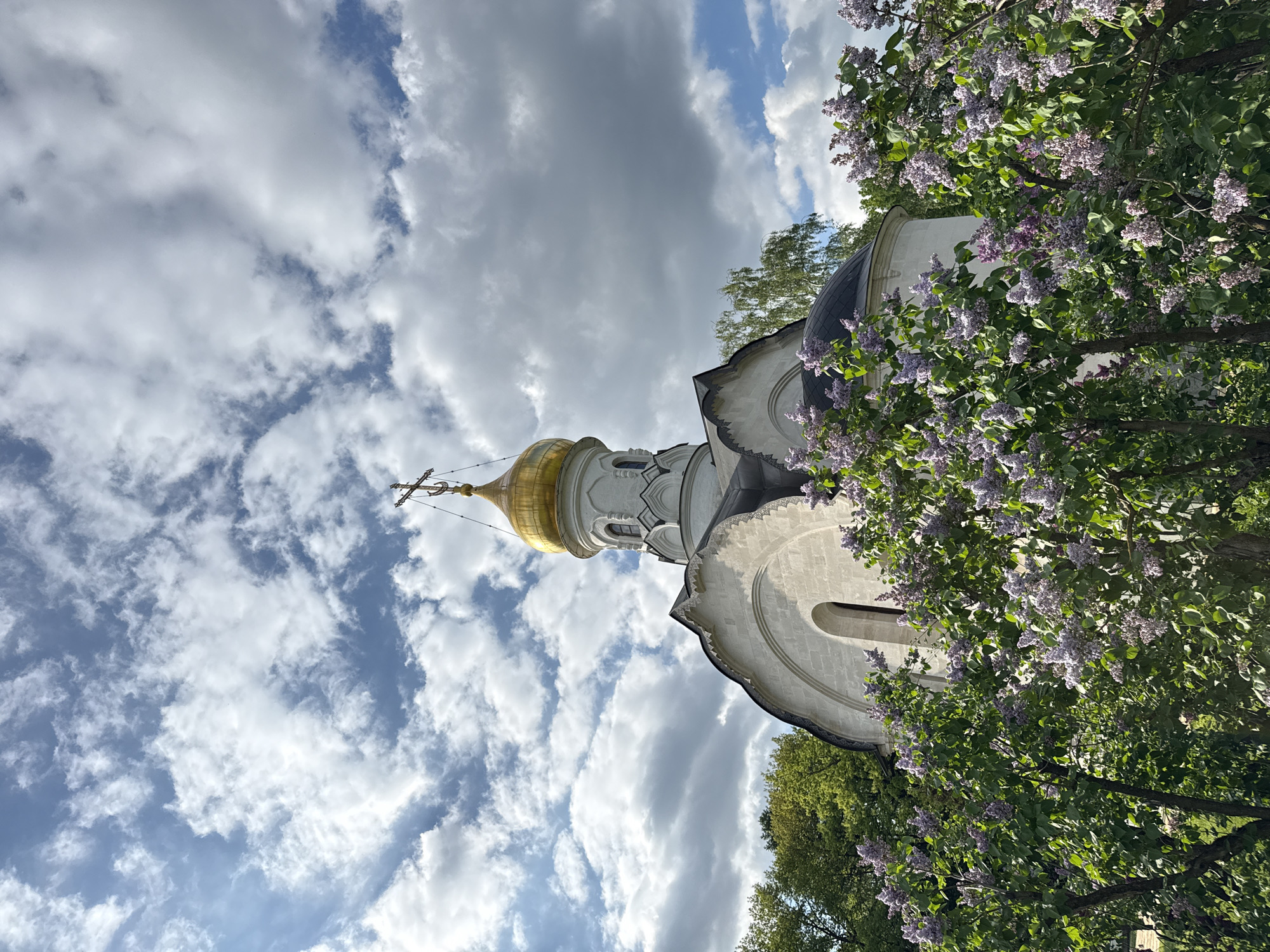 Here is a description of the image:
A low-angle shot shows a Russian Orthodox church with a golden dome topped with a cross. The church is white and has a curved roofline. Lilac bushes with purple flowers are in the foreground on the right. The sky is cloudy with patches of blue. The image is rotated. This church is in Moscow, Russia.