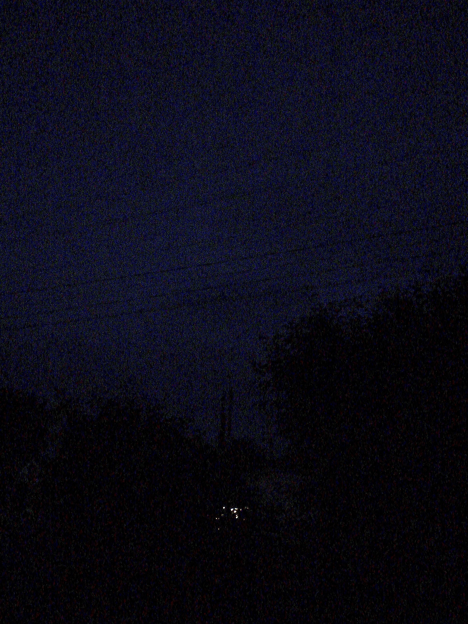 The image depicts a very dark, high-noise nocturnal scene in the city of Ustyvytsia, Ukraine. The upper portion of the frame shows a deep navy blue sky, heavily pixelated and indicative of extremely low light conditions. Faint dark horizontal lines, consistent with utility wires, are discernible in the upper-mid-left quadrant. A vertical dark silhouette, possibly a utility pole or tree, is subtly visible below the wires. The mid-ground and foreground are dominated by irregular, deep black masses, characteristic of dense foliage (trees and bushes), silhouetted against the sky. In the lower-middle section, several small, distinct points of bright white-yellow light are present, suggesting distant artificial illumination, possibly from vehicle headlights or buildings. No individuals or specific actions are visible.