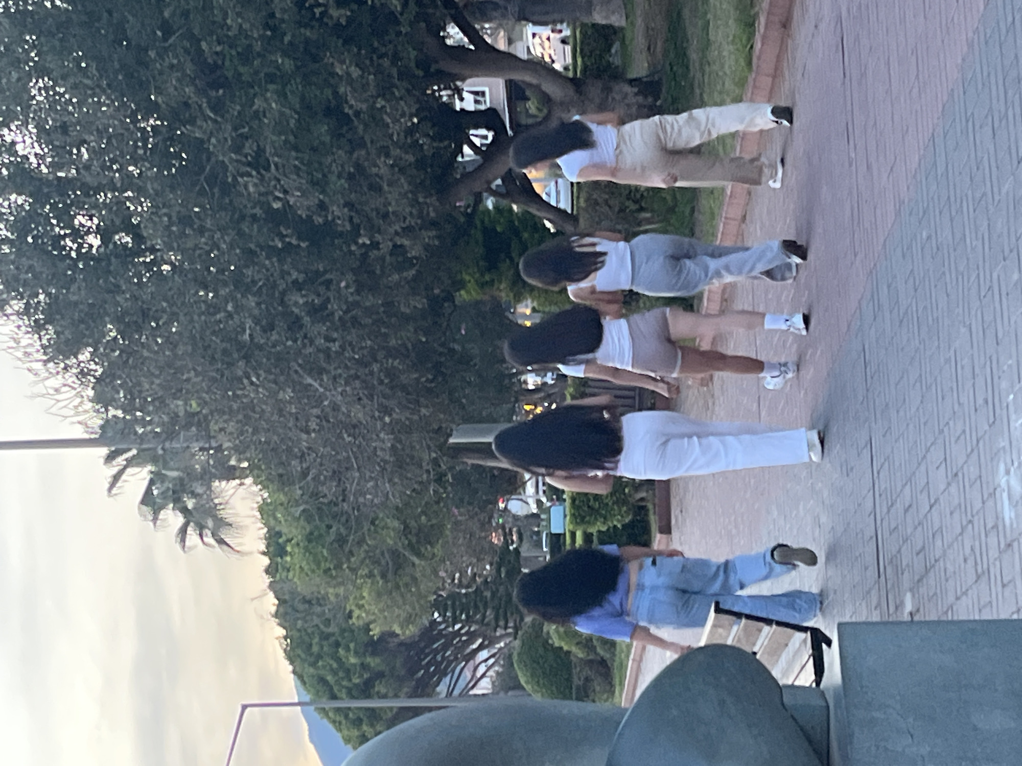 Five young women stand in a line on a paved area, likely a sidewalk, in what appears to be the city of Alanya, Turkey. The women, all with long, dark hair, are facing away from the camera. From top to bottom, they are dressed as follows: white top and khaki pants, white top and gray pants, white top and beige shorts, white top and white pants, and a blue top with light blue pants. A large tree is to the left of the group, and other greenery and buildings can be seen in the background. A gray concrete structure occupies the lower portion of the frame.