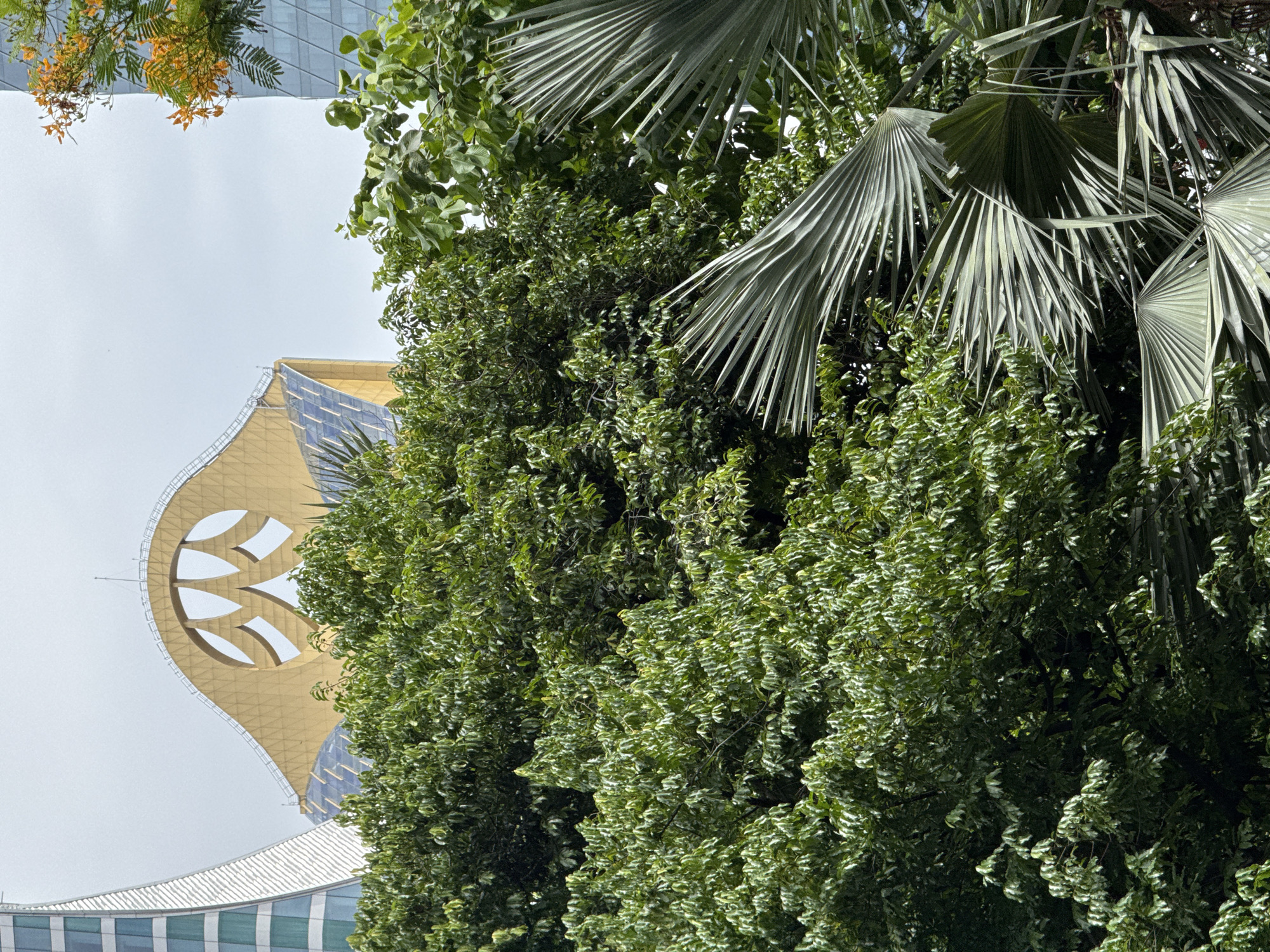 This image captures a section of the skyline in Bangkok, Thailand, dominated by lush green foliage in the foreground. The foliage includes dense leafy trees and the distinctive fronds of a palm tree. In the background, peeking through the greenery, are modern architectural structures. On the left, a sleek, silver skyscraper with a curved facade rises. Towards the center, a distinctive golden building features a large, stylized, arched window-like opening. To the right, another tall, modern building with a glass facade is visible, with a branch of an orange-flowering tree extending into the frame. The sky above is overcast. There are no people or animals visible in the scene.