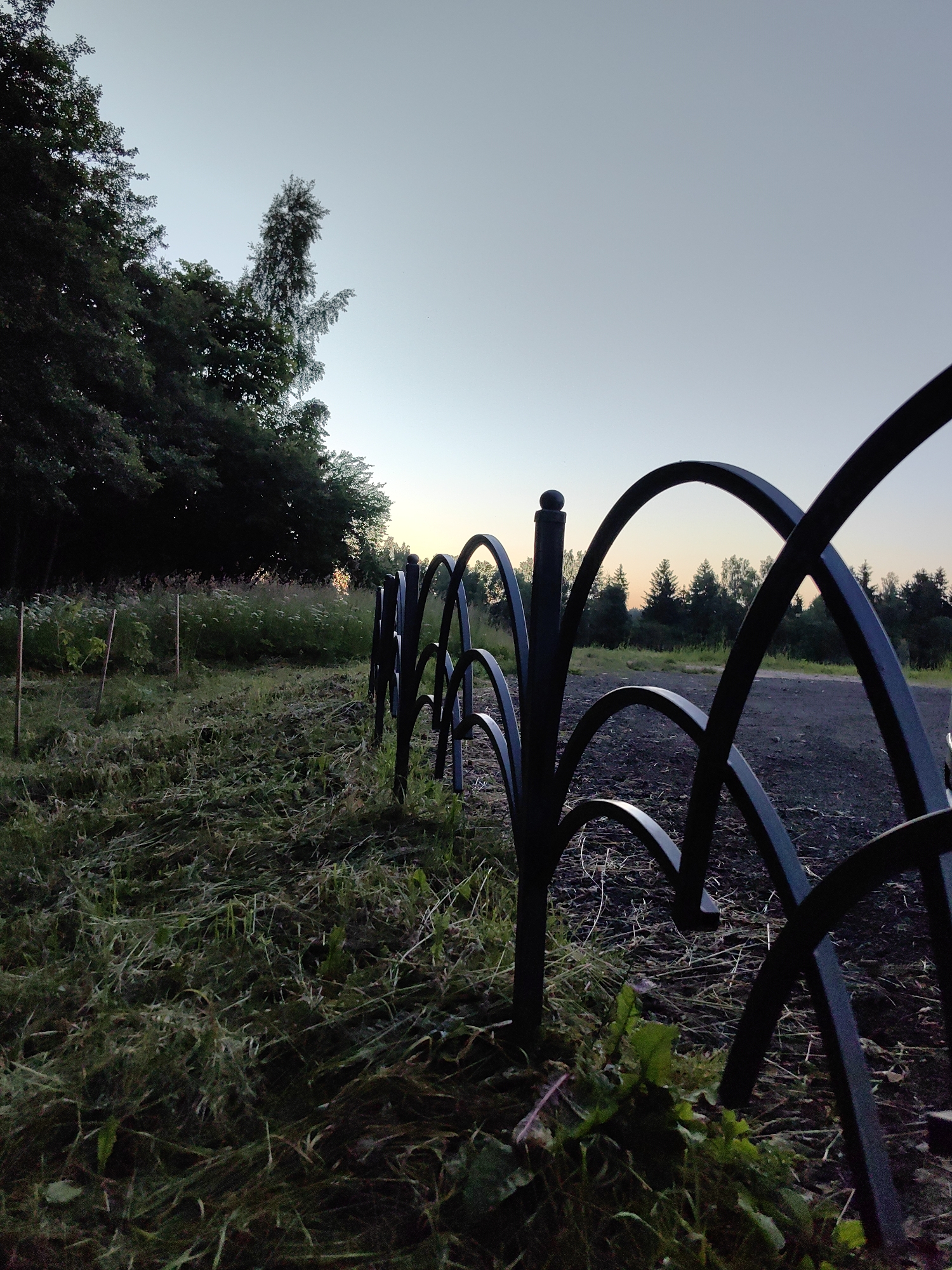 The photograph depicts an outdoor scene in the Дзямідавіцкі сельскі Савет, Belarus, likely during twilight given the soft light and clear sky. In the foreground, a black wrought-iron fence with an arched design stretches across the frame from right to left. The fence is positioned on a slight incline, separating a mown grassy area to the left from a dark, earthy surface to the right, possibly a dirt path or unpaved road.
The grassy area to the left of the fence appears somewhat untended, with cut grass scattered on the ground, interspersed with taller weeds and some small saplings supported by thin stakes. Beyond the mown area, a dense line of dark green trees forms a backdrop, with a single taller, slender tree with a distinctive branched top standing out against the sky.
The sky above is a pale gradient of light blue at the top, transitioning to a soft yellow-orange near the horizon. The overall impression is one of a rural or semi-rural setting at the edge of a wooded area, with the fence serving as a boundary. There are no people or animals visible in the image.