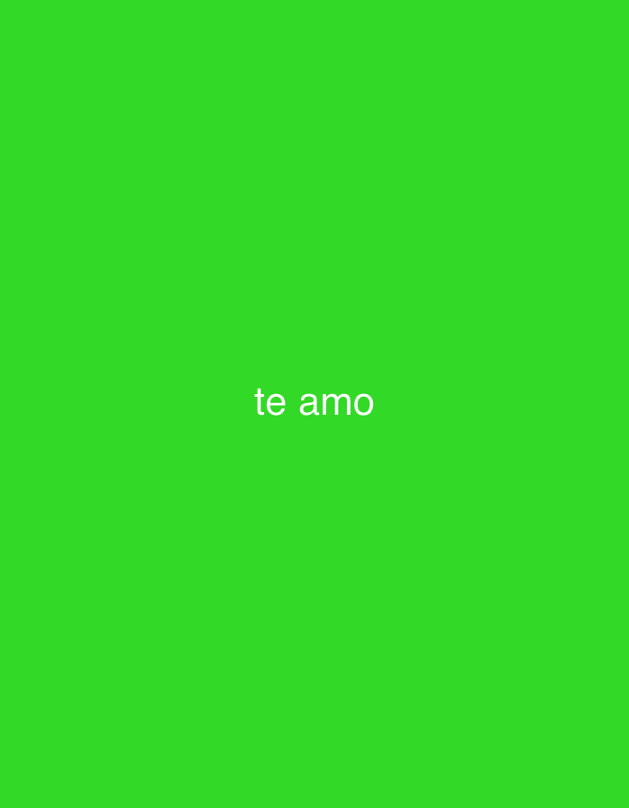 The image displays a plain, vibrant green background. Centered horizontally and slightly above the vertical midpoint, the white text "te amo" is visible in a sans-serif font. "Te amo" is Spanish for "I love you." No people, objects, or specific scenes are depicted, and there are no visual cues to indicate a particular time of day or weather conditions. While the context provided is Santa Ana, Venezuela, the image itself offers no visual elements to confirm this location. The sole focus is the green background and the romantic message it conveys.