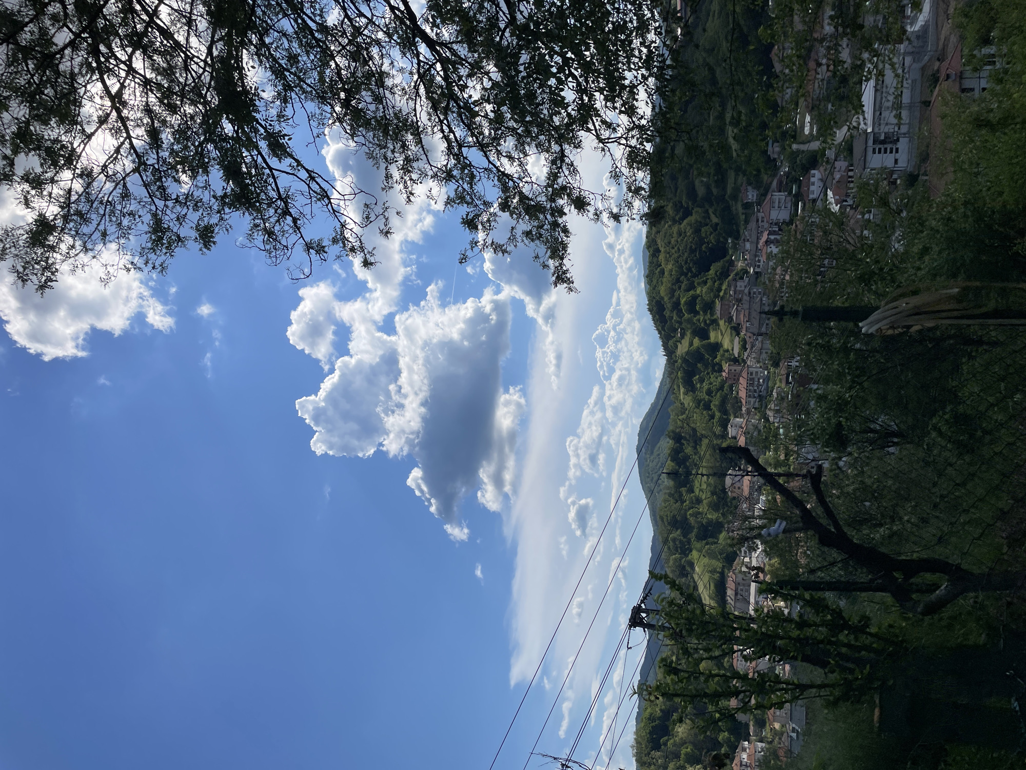 The image depicts a view of Zlatograd, Bulgaria. The sky is blue with scattered cumulus clouds, partially obscured by tree branches in the upper left corner. A densely populated area with buildings is visible on the right side of the frame, with the structures seemingly built on a hillside. Wires cross the lower portion of the image, indicating power lines. Vegetation, including trees and shrubs, surrounds the urban area. The orientation of the image is rotated 90 degrees counter-clockwise.