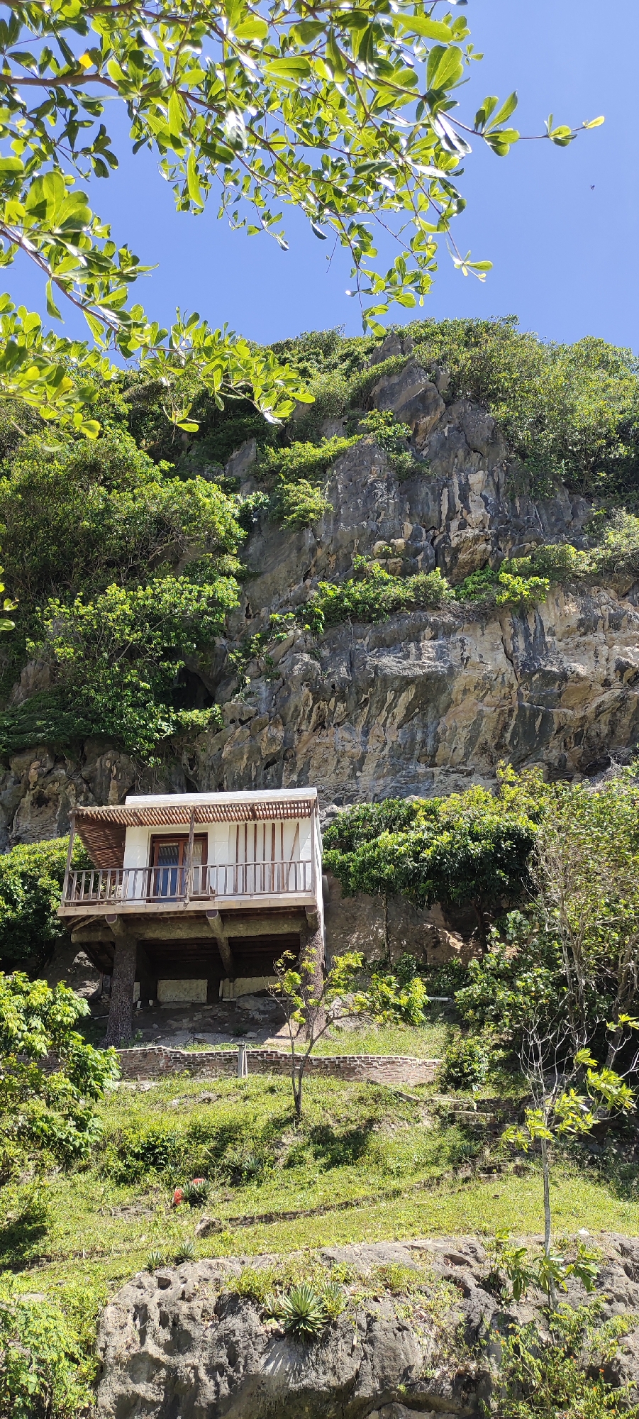 The image depicts a small, elevated house built on stilts against a rocky cliff face, surrounded by lush greenery under a clear blue sky. The house has a simple, modern design with a wooden deck and railings, white walls, and a wooden-framed door and windows. Vegetation, including trees and bushes, grows densely around the house and on the cliff. The ground leading up to the house is also covered in grass and rocks, with some low brick walls visible. The overall scene suggests a remote, natural setting.