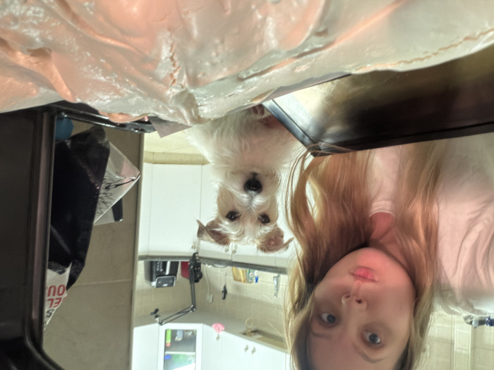 An upside-down selfie shows a young woman with blonde hair and fair skin. A small, white dog with black eyes and a wet nose looks up at the camera from between the woman and a flat, dark surface. Above the dark surface is a partially obscured, white, textured object, possibly frosting or whipped cream. The background reveals a kitchen setting with light-colored cabinets and a stainless steel sink. The image is rotated 180 degrees.