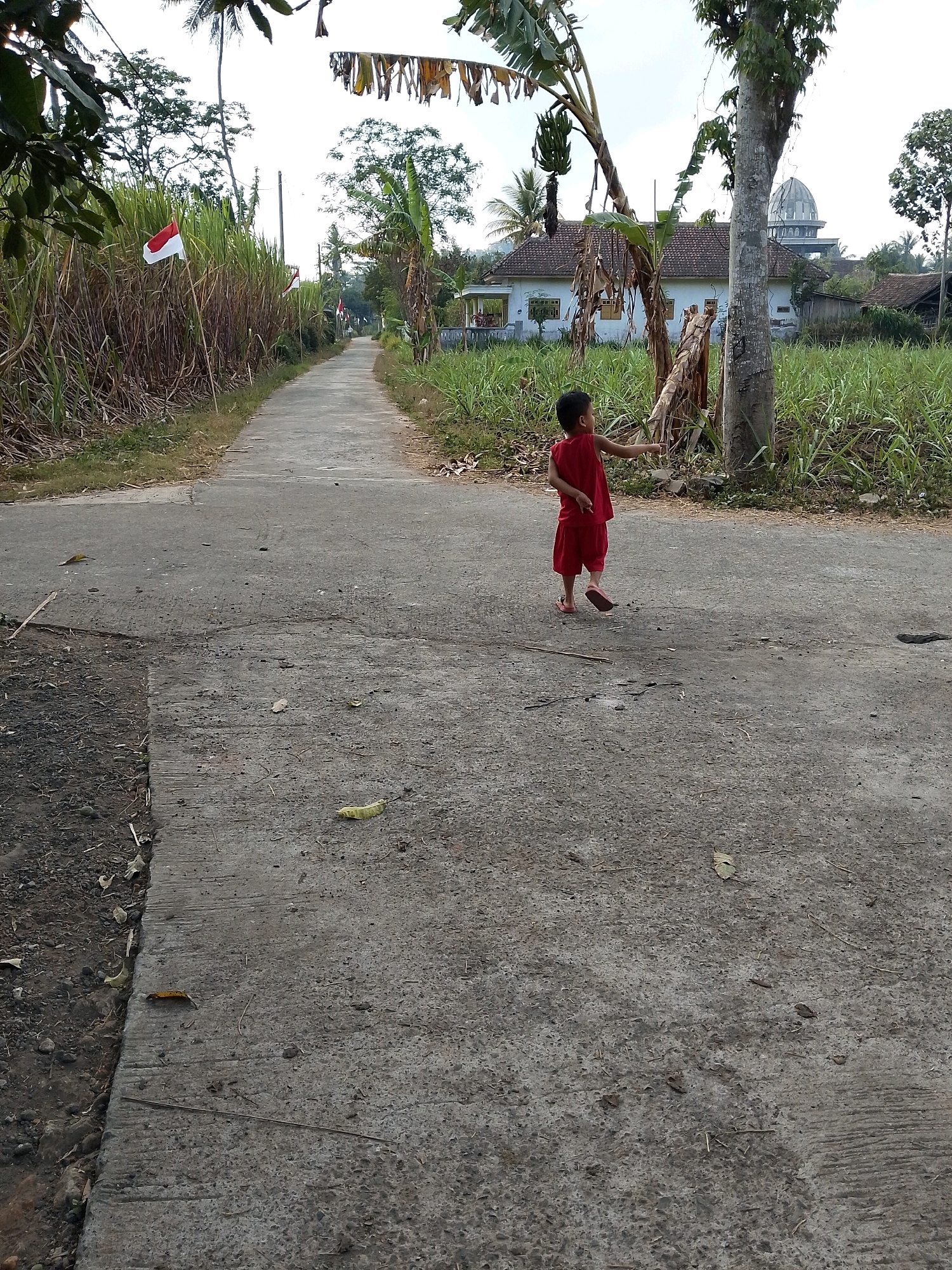 In Karangsari, Indonesia, a young child, appearing to be of Indonesian ethnicity and wearing a red top and shorts, stands on a paved road. The child is facing away from the camera, with their right arm extended and pointing. The road is flanked by tall, dry vegetation on the left and green crops on the right. In the background, a white house with a dark roof is visible, along with a domed building resembling a mosque. Banana trees with visible fruit are also present in the environment. The scene suggests a rural or semi-rural setting.