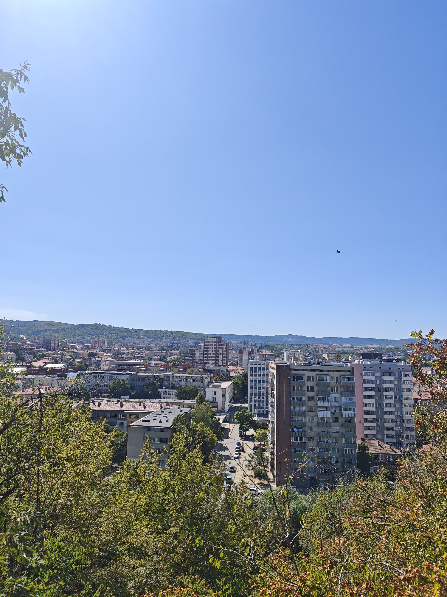 A high-angle, wide shot captures a panoramic view of the city of Lovech, Bulgaria, under a clear, bright blue sky. In the foreground, the lush green foliage of trees, some with hints of autumn colors, partially obscures the view of the urban landscape below. The city itself is a dense collection of buildings, ranging from low-rise residential structures with terracotta roofs to taller, multi-story apartment blocks with balconies and window units. A road winds through the city, with several cars visible. In the far distance, rolling hills covered in green vegetation form the horizon. A single bird is depicted flying in the upper right quadrant of the sky.