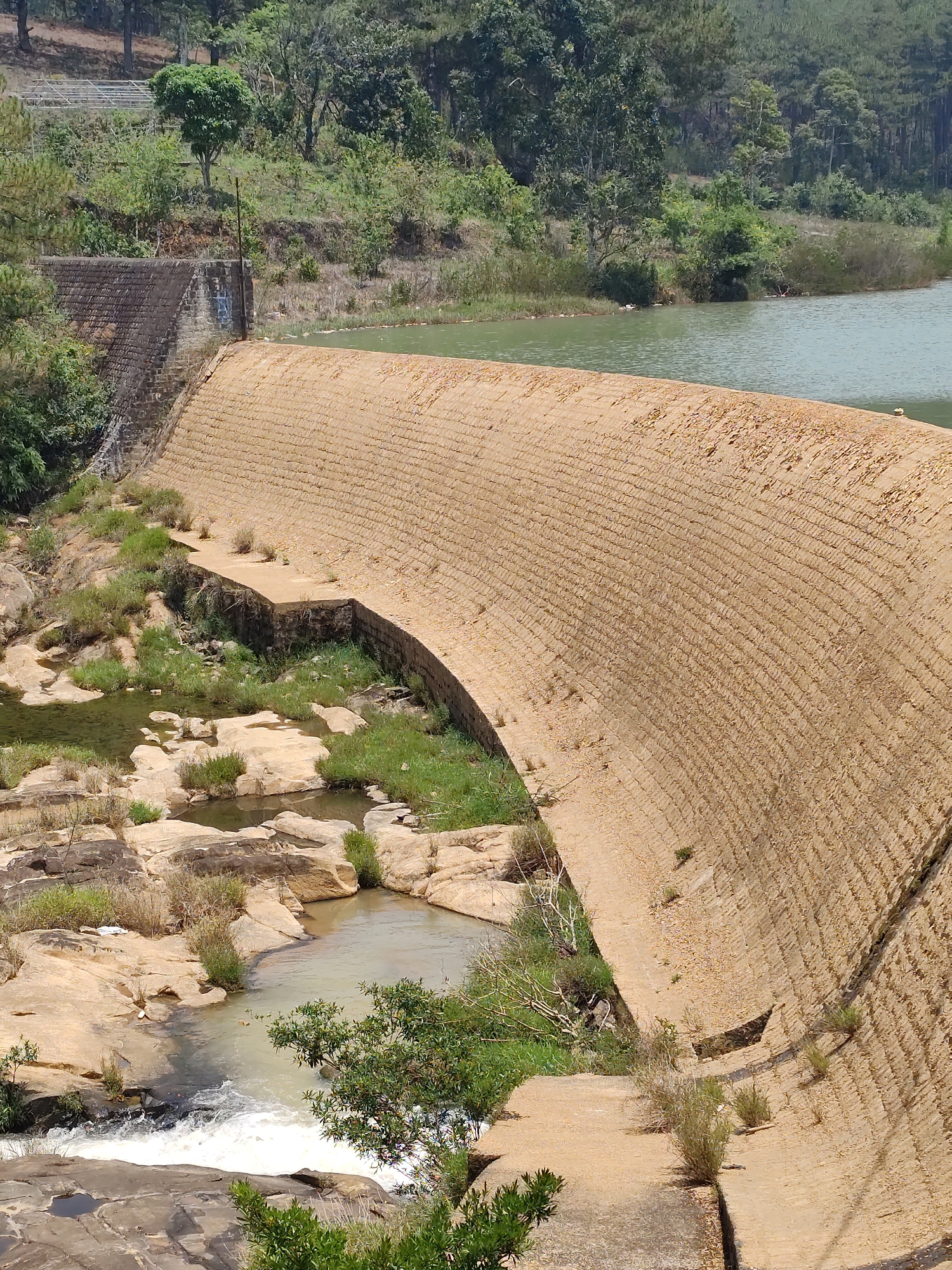 The image shows a curved dam structure in Lang Biang - Da Lat, Vietnam. The dam is constructed of textured, light-brown masonry and holds back a body of water with a greenish hue. Below the dam, water flows over rocks and into pools, surrounded by vegetation. A small, dark-green bush is visible near the foreground. The background includes more dense vegetation and trees.