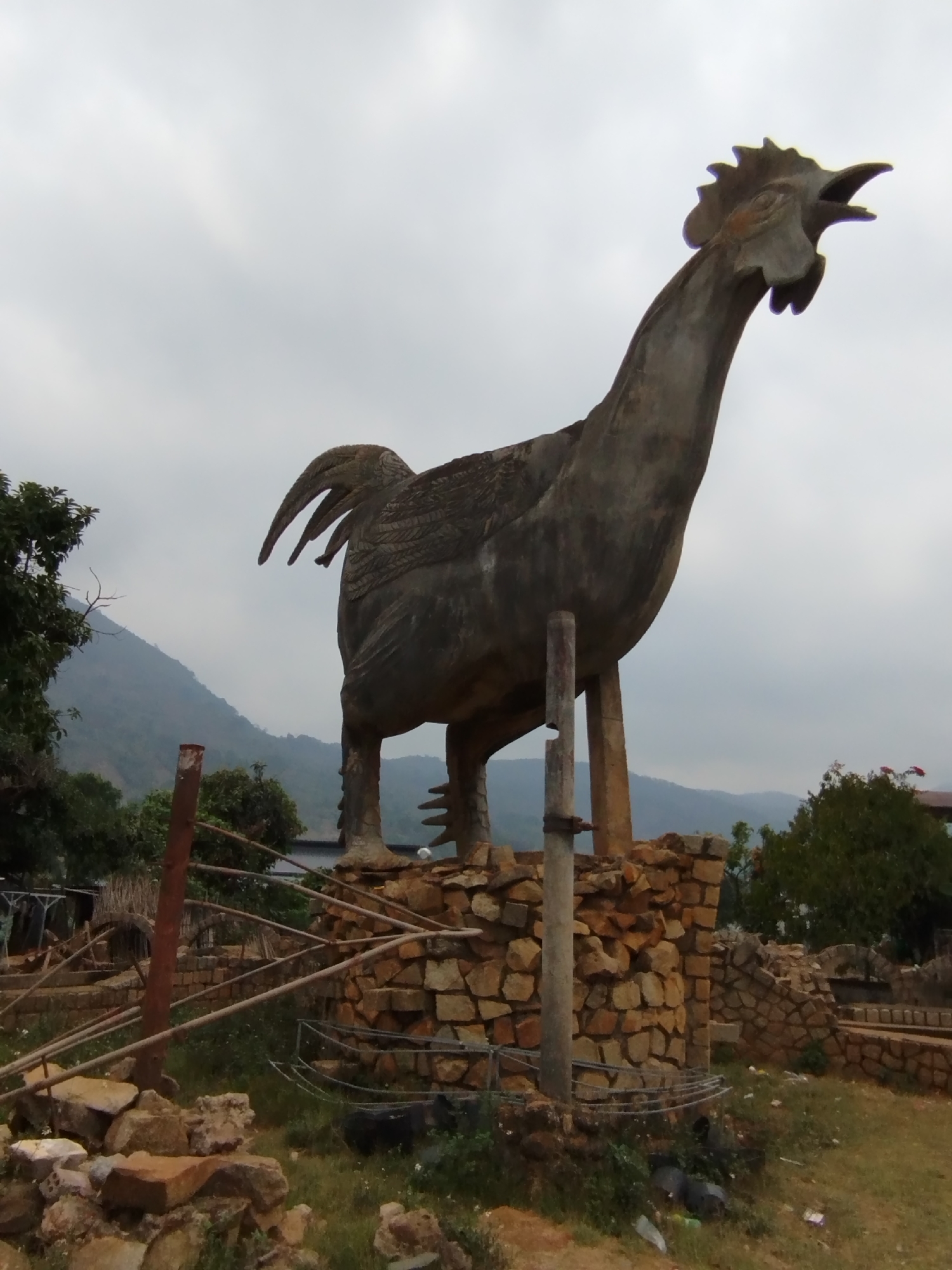 The image depicts a large concrete rooster statue atop a stone base in Đarahoa, Vietnam. The statue is the central focus, its neck arched upwards, as if crowing. The surrounding environment includes a landscape of trees, hills, and an overcast sky. There's a rustic fence and other stone structures near the statue's base, creating a somewhat unkempt, outdoor setting. The lighting appears to be muted due to the cloudy weather. The photograph appears to be taken at ground level, looking upward toward the statue.