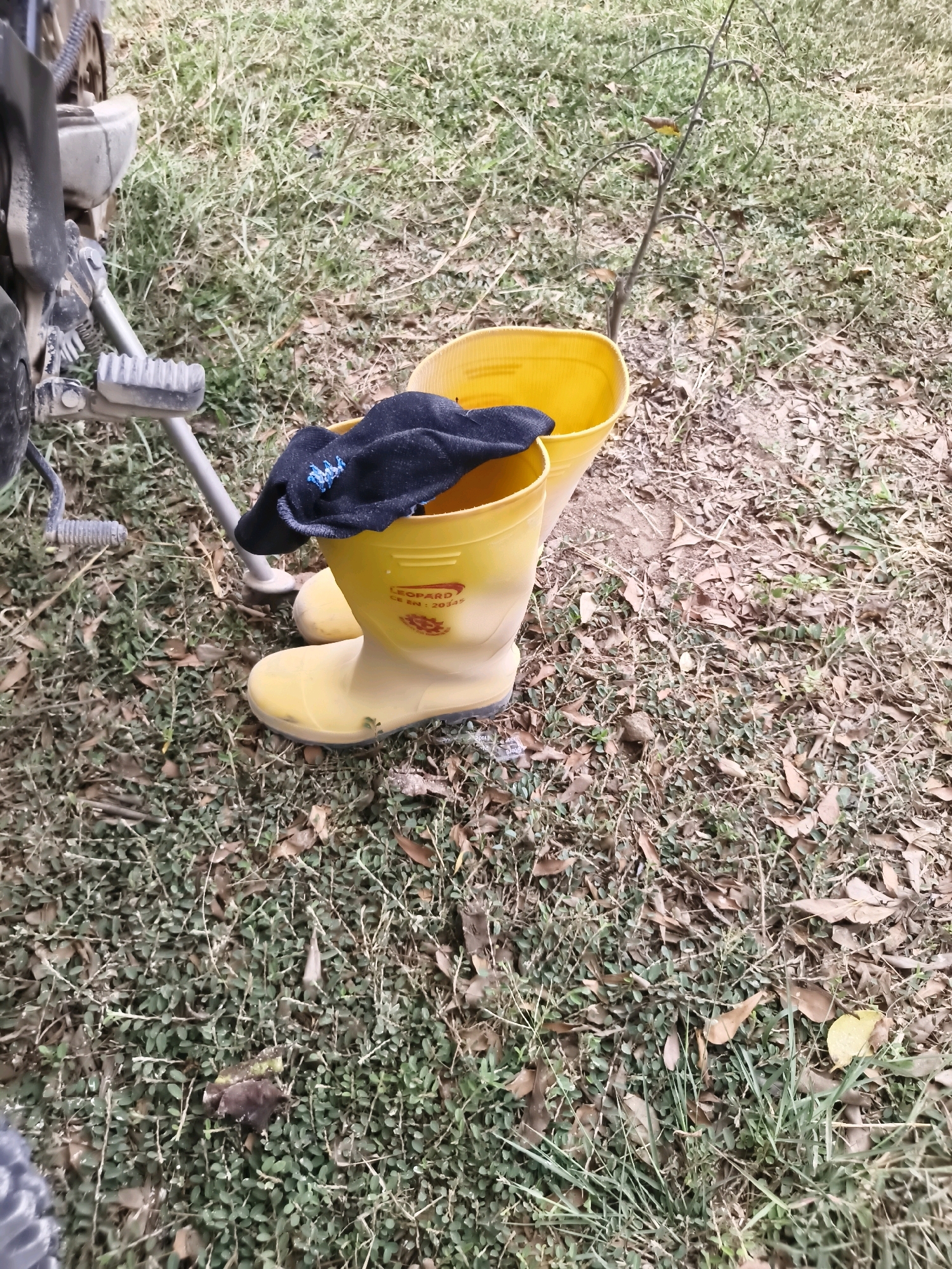 In Puloampel, Indonesia, a pair of yellow rubber boots are placed on the ground amidst dried leaves and grass, next to a motorcycle kickstand. A dark blue sock is tucked inside one of the boots. A thin, leafless tree with a small bird perched on its branches is visible in the background.
