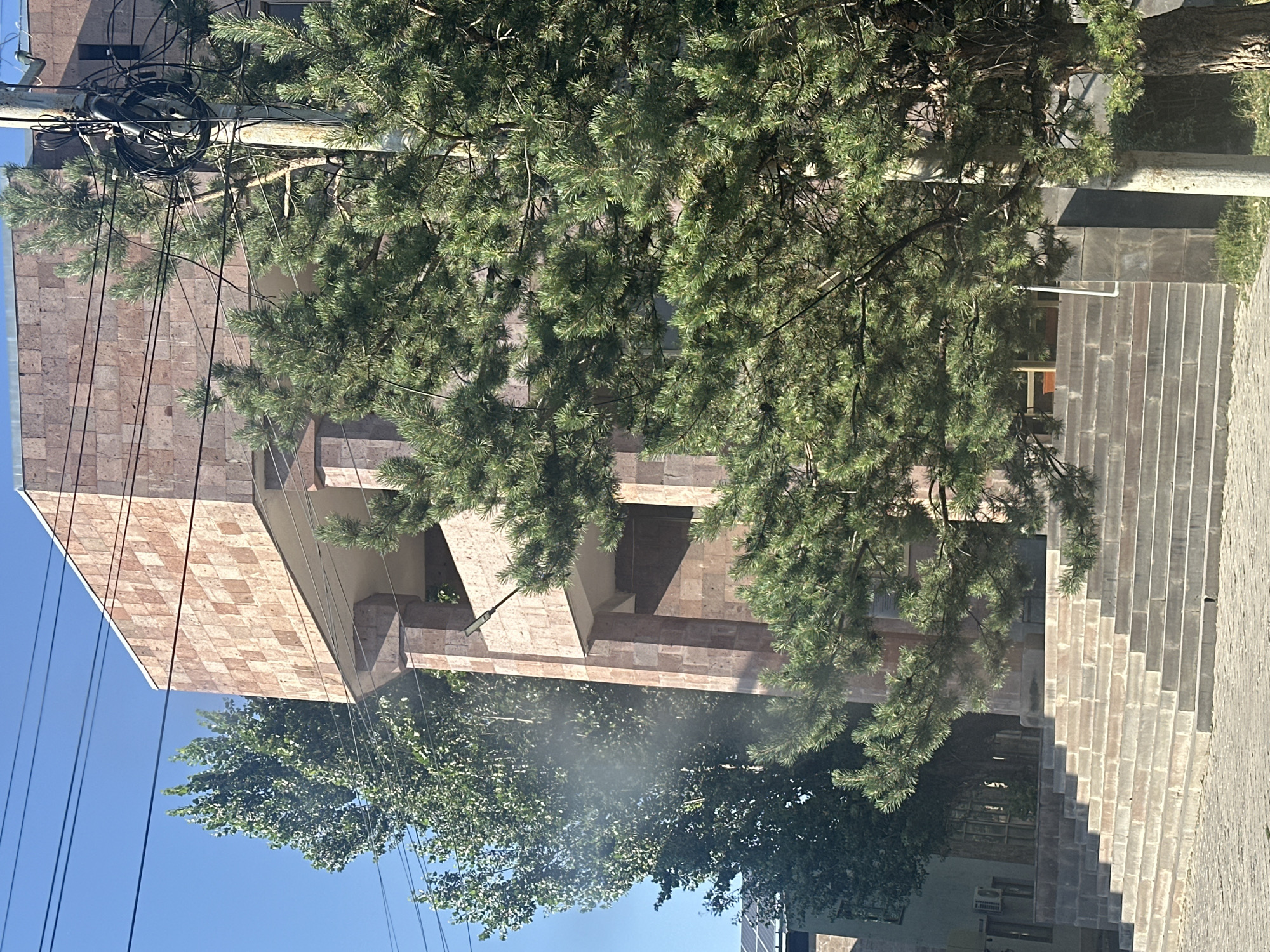 The image depicts the exterior of a building with a facade of pinkish-beige square stone tiles and prominent vertical stone pillars. A wide, tiered stone staircase leads up to the entrance. Several trees, including a large deciduous tree on the left and a pine tree in the foreground on the right, partially obscure the view of the building. Overhead, a network of electrical wires and a utility pole are visible against a clear blue sky. The scene appears to be a public space, possibly a governmental or institutional building, given its architecture. The presence of solar panels on a lower building in the background suggests a modern adaptation or addition. The overall impression is one of solid, somewhat imposing architecture softened by the surrounding greenery and a clear, sunny day.