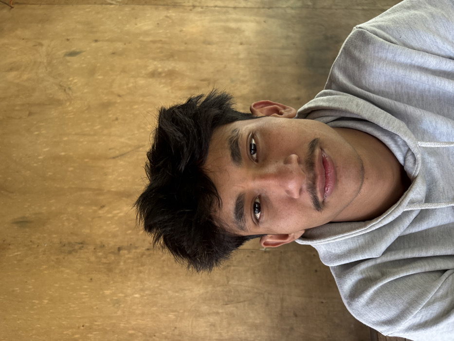 A young man with dark hair and a mustache is angled slightly toward the camera, wearing a gray hooded sweatshirt. His eyes are dark and his expression neutral. The background features a wooden surface. The image is well-lit, highlighting the texture of the wood and the details of the man's face and clothing.