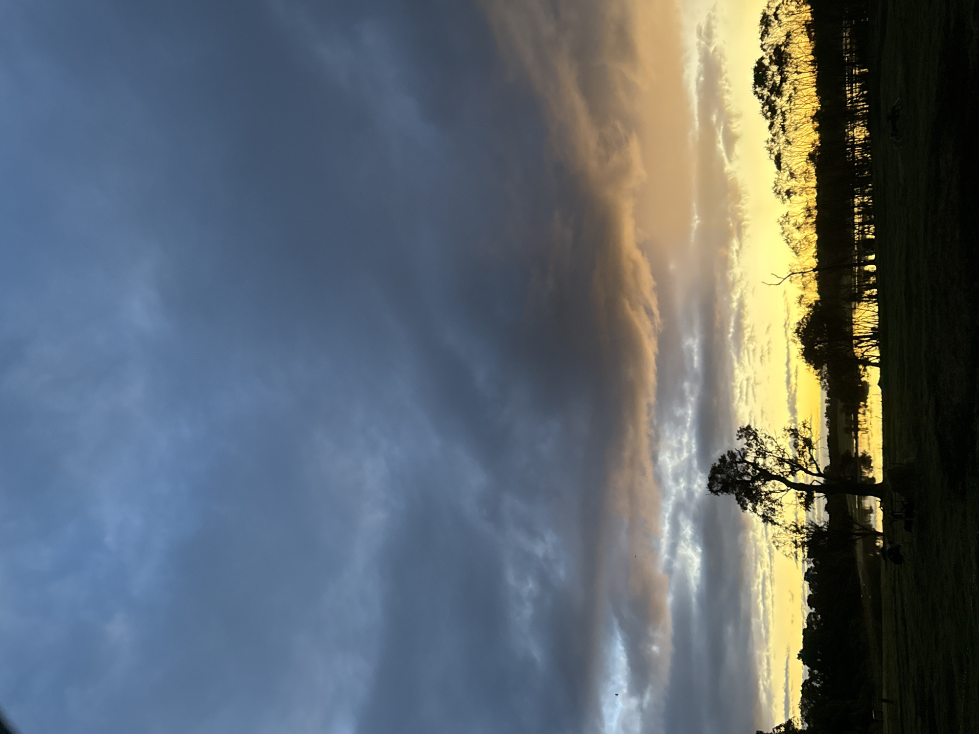 This is a vertical, low-angle, full shot of a body of water with trees and a silhouetted tree in the foreground at dusk. The sky is dark blue and overcast, with streaks of orange and yellow from the setting sun near the horizon. The water reflects the colors of the sky and the silhouettes of the trees lining its edge. In the foreground, a grassy field is visible, with dark silhouettes of trees and what appears to be a small pile of wood. A tall, spindly tree stands in the middle ground, to the left of a larger, more full-bodied tree. The overall impression is one of a serene, natural landscape at the end of the day.