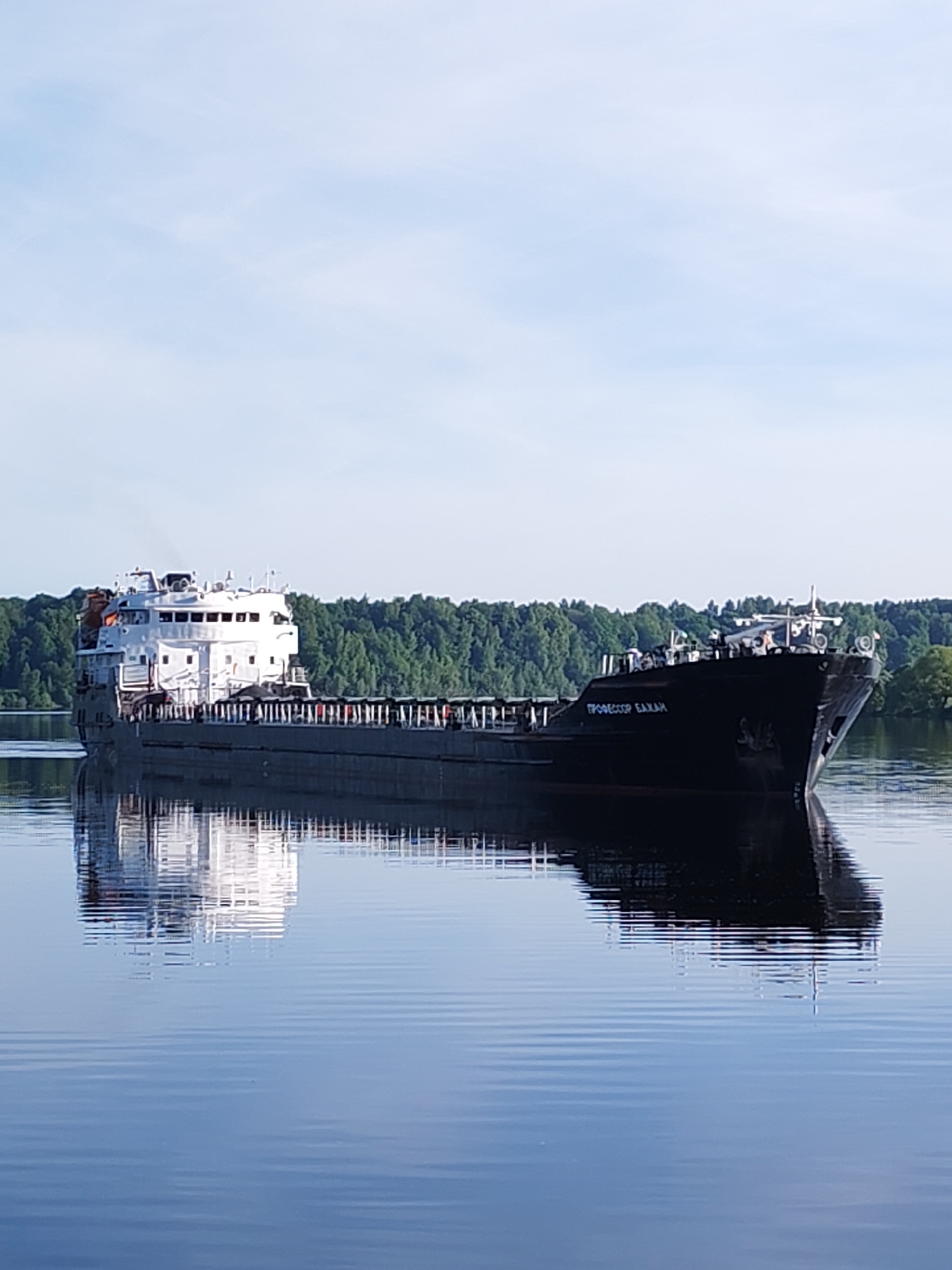A medium shot captures a large cargo vessel, identified by the name "ПРОФЕССОР БАКАH" (PROFESSOR BAKAN) in light blue Cyrillic script on its black bow, traversing a calm body of water. The vessel features a multi-story white superstructure at its stern with numerous windows, and a black hull extending forward. A small orange survival craft is visible on the port side of the superstructure. The water, a deep blue, perfectly reflects the ship and the pale blue sky above, exhibiting subtle horizontal ripples. In the background, dense, dark green deciduous trees line the distant banks, indicating a forested shoreline. The sky is predominantly clear with faint, wispy white clouds. The scene is illuminated by natural daylight.