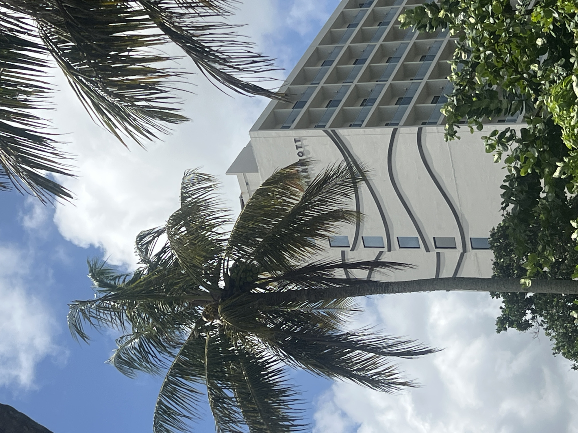 The image shows a tall, white building with a repetitive pattern of windows and a curved, dark gray design, partially obscured by a palm tree with coconuts. The building has the word "ARROTT" vertically written on it. Other trees with dense green foliage are also visible. The sky is blue with scattered white clouds. The location is in Peleana, Sri Lanka.
